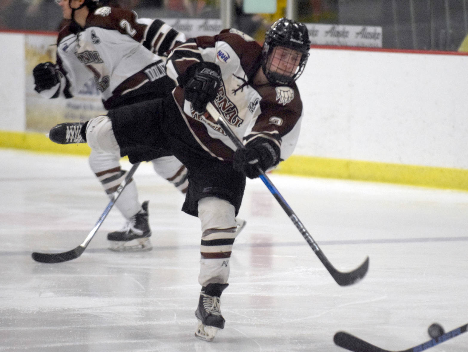 Kenai River Brown Bears defenseman Cam McDonald fires a shot Feb. 16, 2018, at the Soldotna Regional Sports Complex against the Johnstown (Pennsylvania) Tomahawks. (Photo by Jeff Helminiak/Peninsula Clarion)