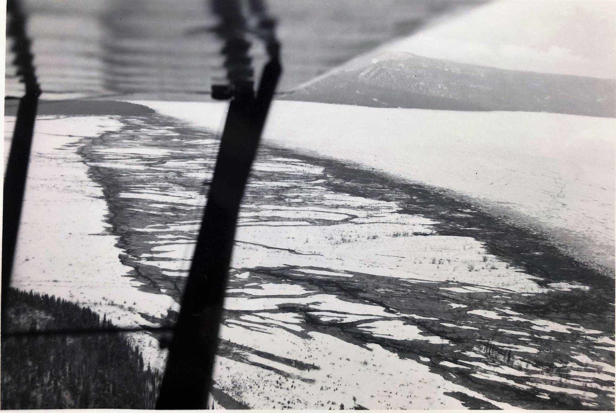 Looking south over the outwash delta at the head of Tustumena Lake showing where water and sand erupted from the ground and fractured the ice 54 years ago. Photograph taken shortly after the March 27, 1964 earthquake by Ave Thayer, Kenai National Moose Range.