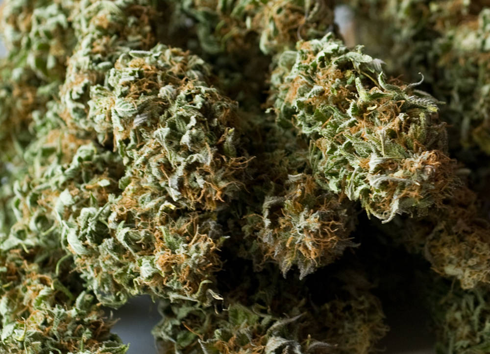 About 2 1/2 oz. of dried marijuana. (Michael Penn | Juneau Empire File)