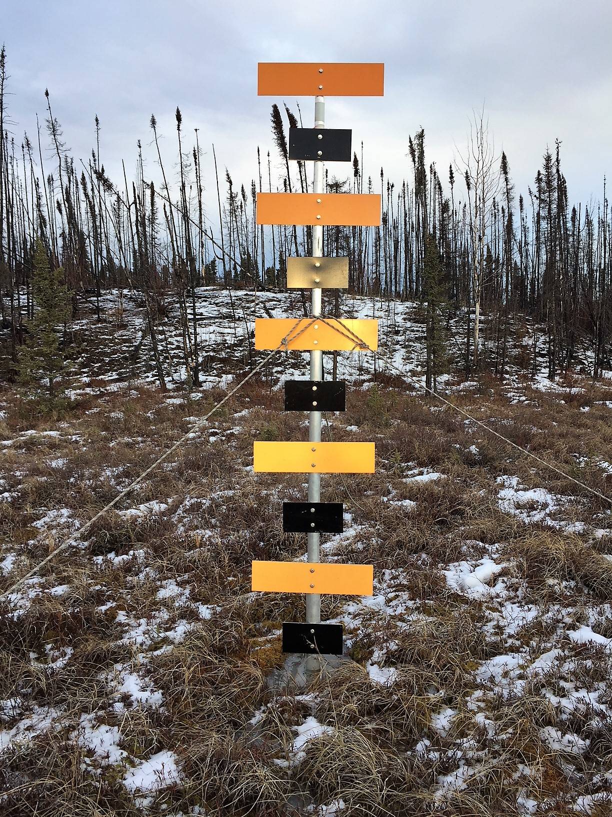 One of the aerial markers used to monitor snow depth on the Kenai National Wildlife Refuge. (Photo courtesy Kenai National Wildlife Refuge)