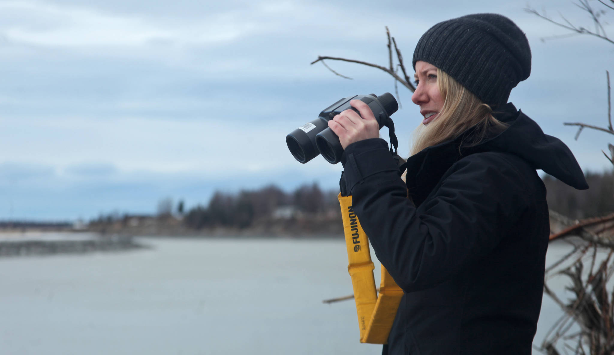 Researcher Kim Ovitz observes a group of Cook Inlet beluga whales milling in a bend of the Kenai River by Cunningham Park on Tuesday, April 10, 2018 in Kenai, Alaska. Ovitz, a fellow in the University of Alaska Fairbanks' Sea Grant program, will be counting and recording beluga activity from public locations along the Kenai River until April 31, and is also seeking to talk with local residents about their own observations of marine mammals in the Kenai. (Ben Boettger/Peninsula Clarion) 