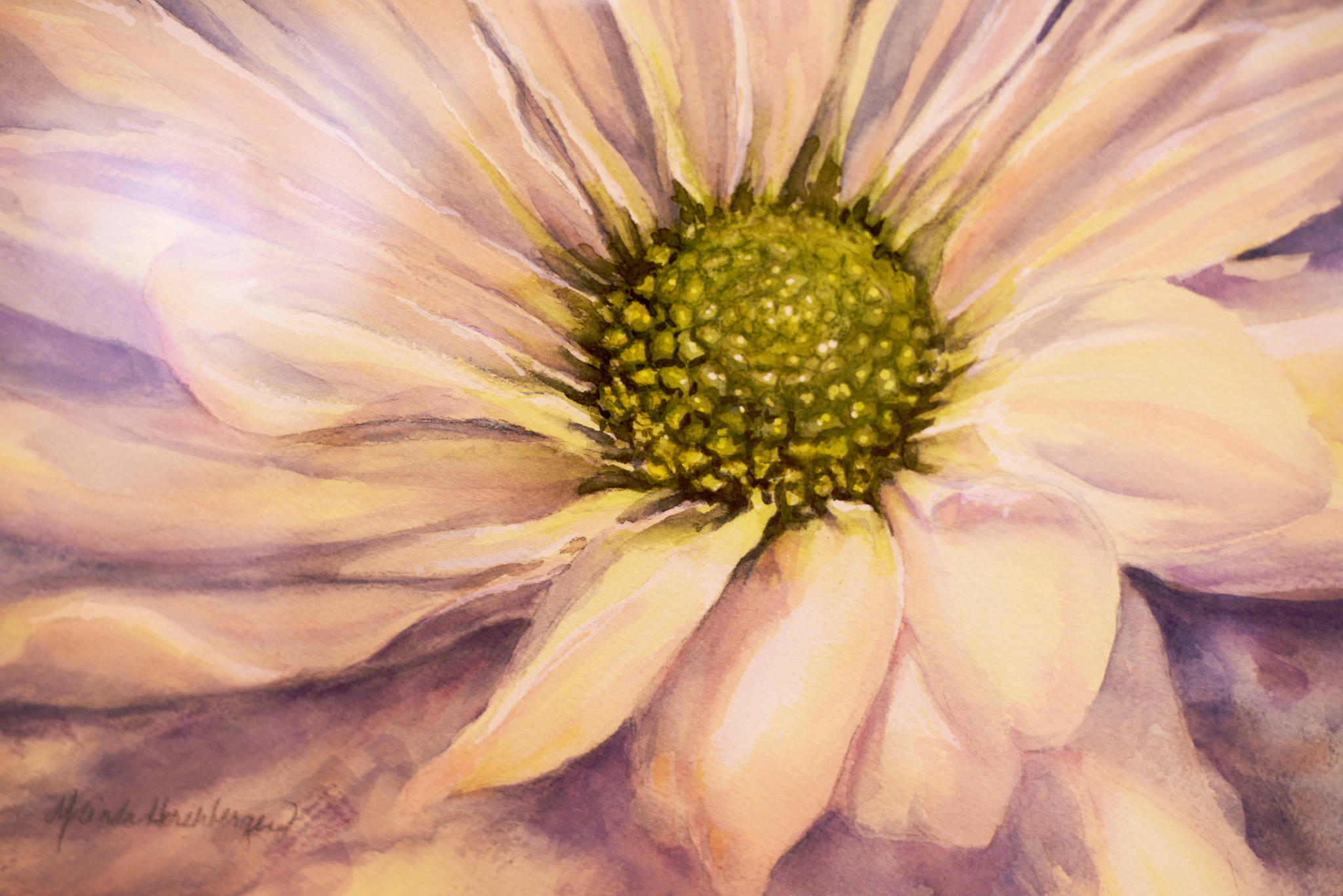 A watercolor flower by Melinda Hershberger hangs at the Kenai Fine Arts Center on Wednesday, May 2 in Kenai. Hershberger’s painting is part of the watercolor exhibit that will show there until May 25, with an opening reception on Thursday May, 3 from 5 p.m to 7 p.m. (Ben Boettger/Peninsula Clarion)