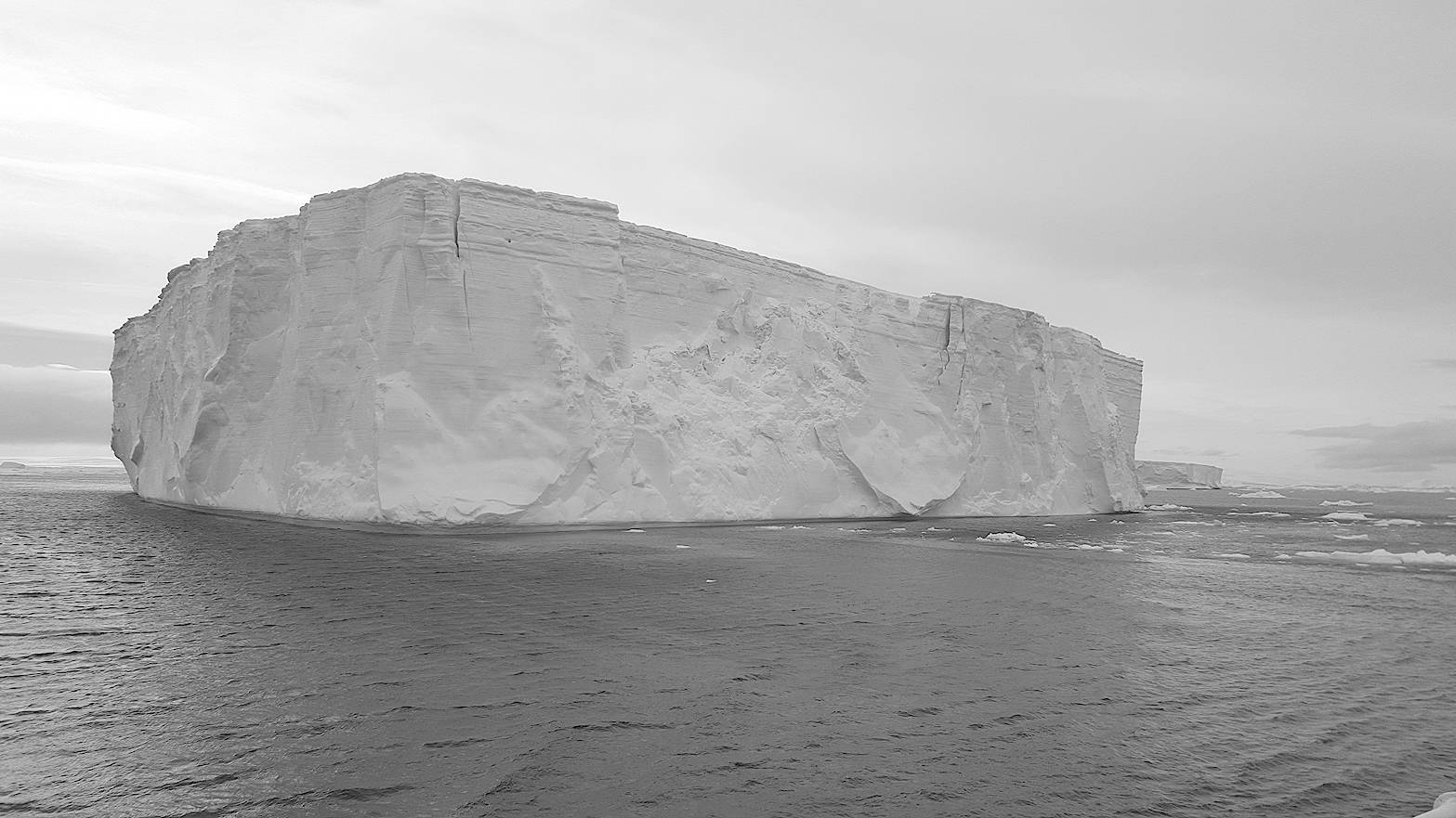 A tabular iceberg from the Larsen ice shelf sits in the Weddell Sea. (Photo courtesy of Sue Mauger)