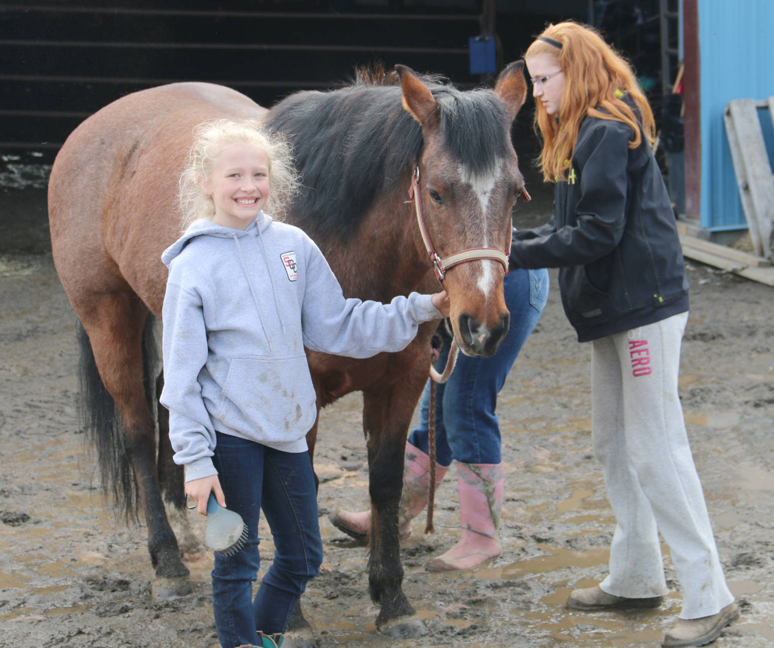 4-H members test their knowledge of horses during State Contest.