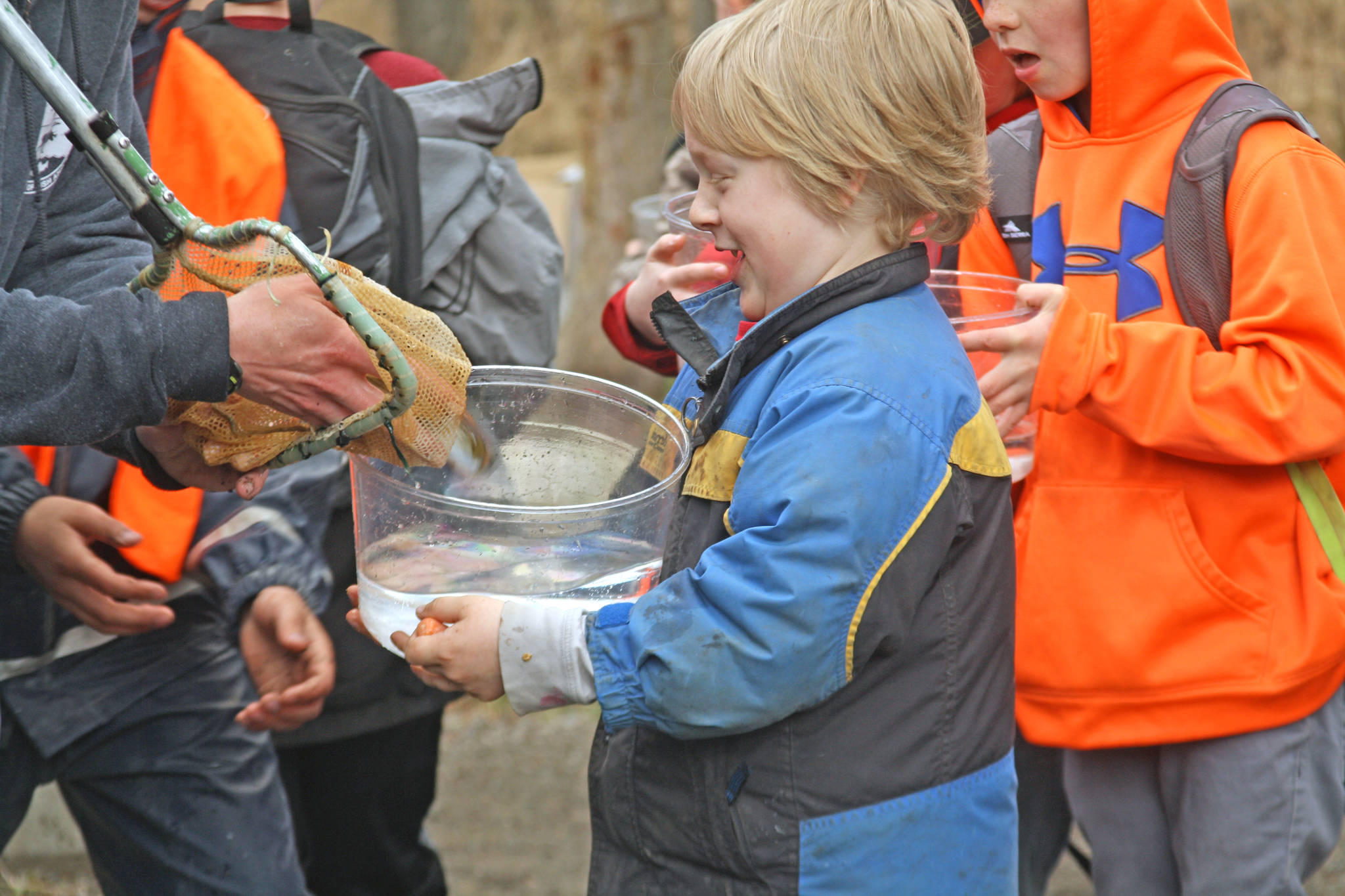 An elementary school student accepts a rainbow trout from the Alaska Department of Fish and Game Thursday during the 18th Annual Kenai Peninsula Salmon Celebration at Johnson Lake State Recreation Site in Kasilof. Approximately 950 borough students released 5,000 fish into Johnson Lake as part of the restocking effort. (Photo by Erin Thompson/Peninsula Clarion)