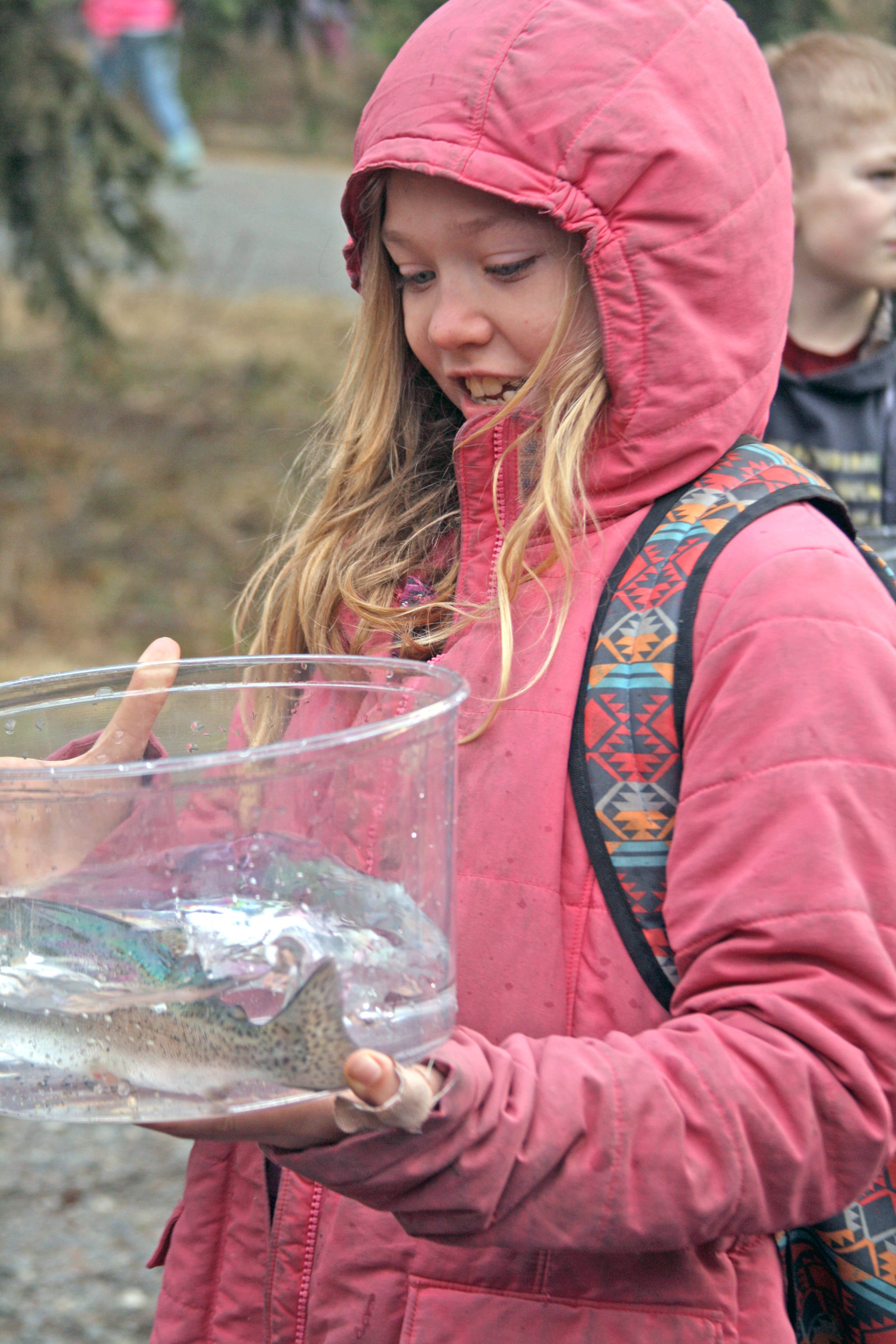 A student ferries a rainbow trout to Johnson Lake during the 18th Annual Kenai Peninsula Salmon Celebration in Kasilof. Approximately 950 borough students released 5,000 fish into the lake as part of an Alaska Department of Fish and Game restocking effort. (Photo by Erin Thompson/Peninsula Clarion)