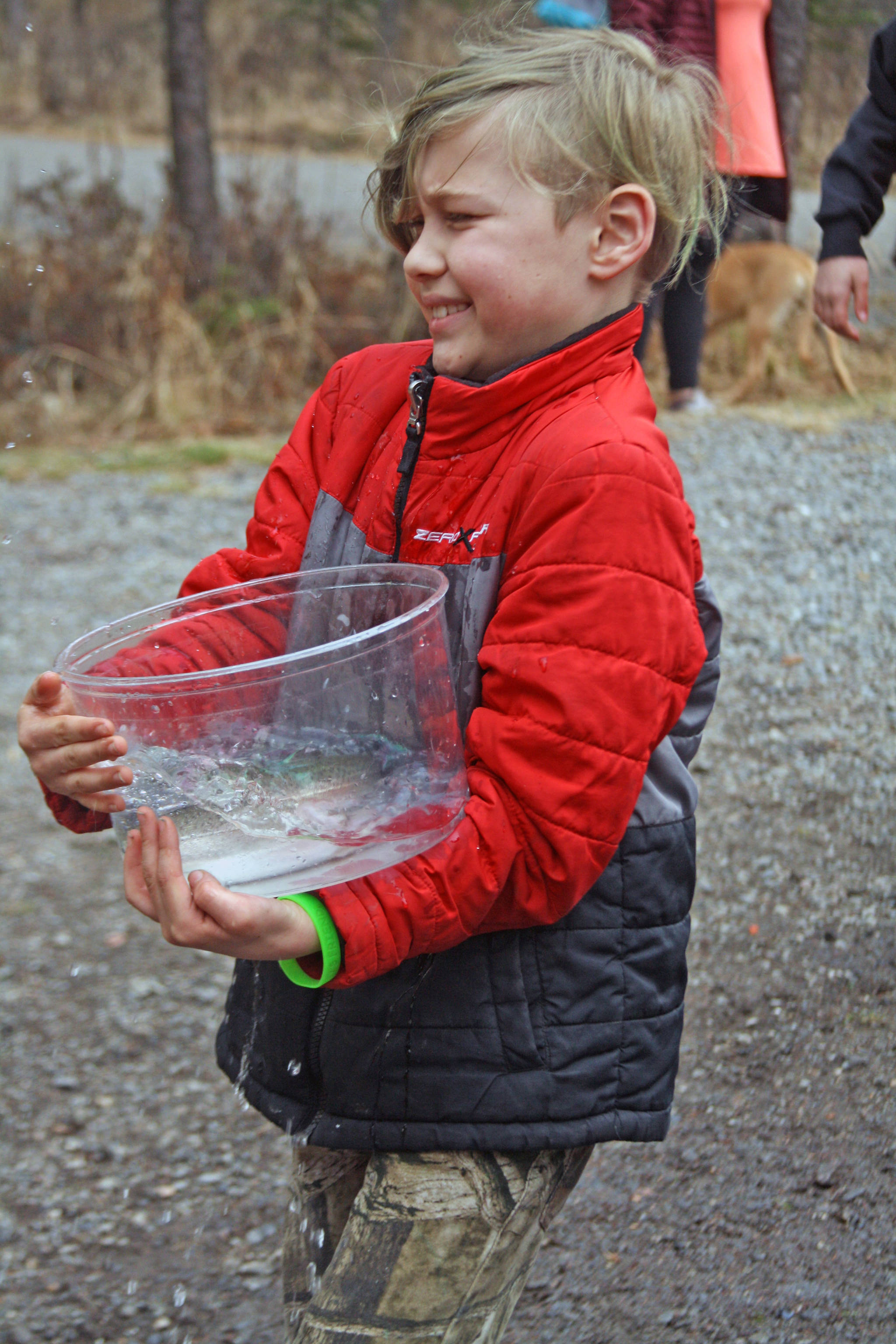 A student carries a rainbow trout at Johnson Lake State Recreation Site in Kasilof. Approximately 950 borough students released 5,000 fish into Johnson Lake as part of an Alaska Department of Fish and Game restocking effort. (Photo by Erin Thompson/Peninsula Clarion)