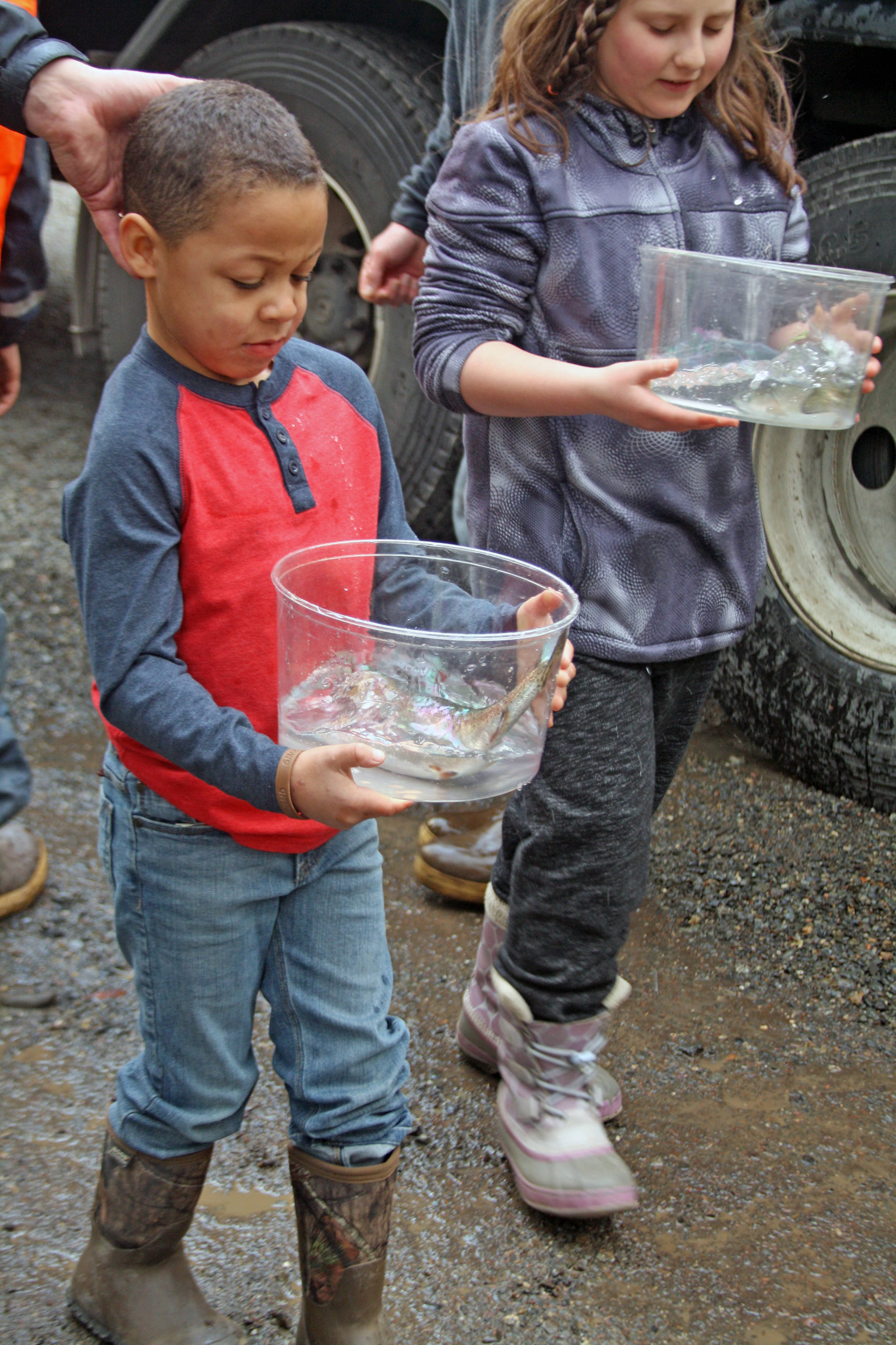 Students carry rainbow trout at Johnson Lake State Recreation Site in Kasilof. Approximately 950 borough students released 5,000 fish into Johnson Lake as part of an Alaska Department of Fish and Game restocking effort. (Photo by Erin Thompson/Peninsula Clarion)