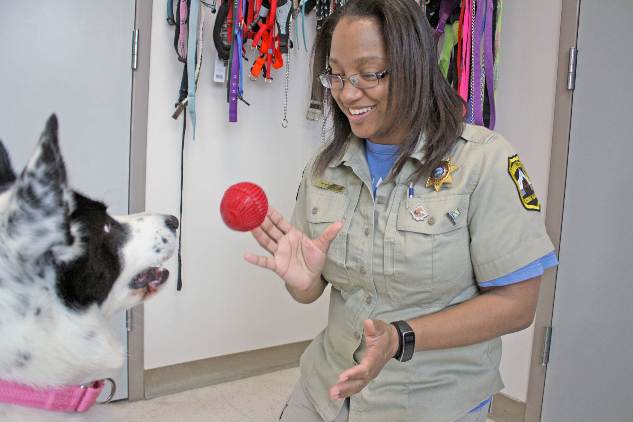 Jessica Hendrickson, chief animal control officer at the Kenai Animal Shelter, tosses a ball to Cherokee, one of the shelter’s adoptable dogs on Thursday, May 17. President of the Alaska Animal Control Association, Hendrickson helped organize a training conference sponsored by the nonprofit, which has been inactive for at least seven years. (Photo by Erin Thompson/Peninsula Clarion)