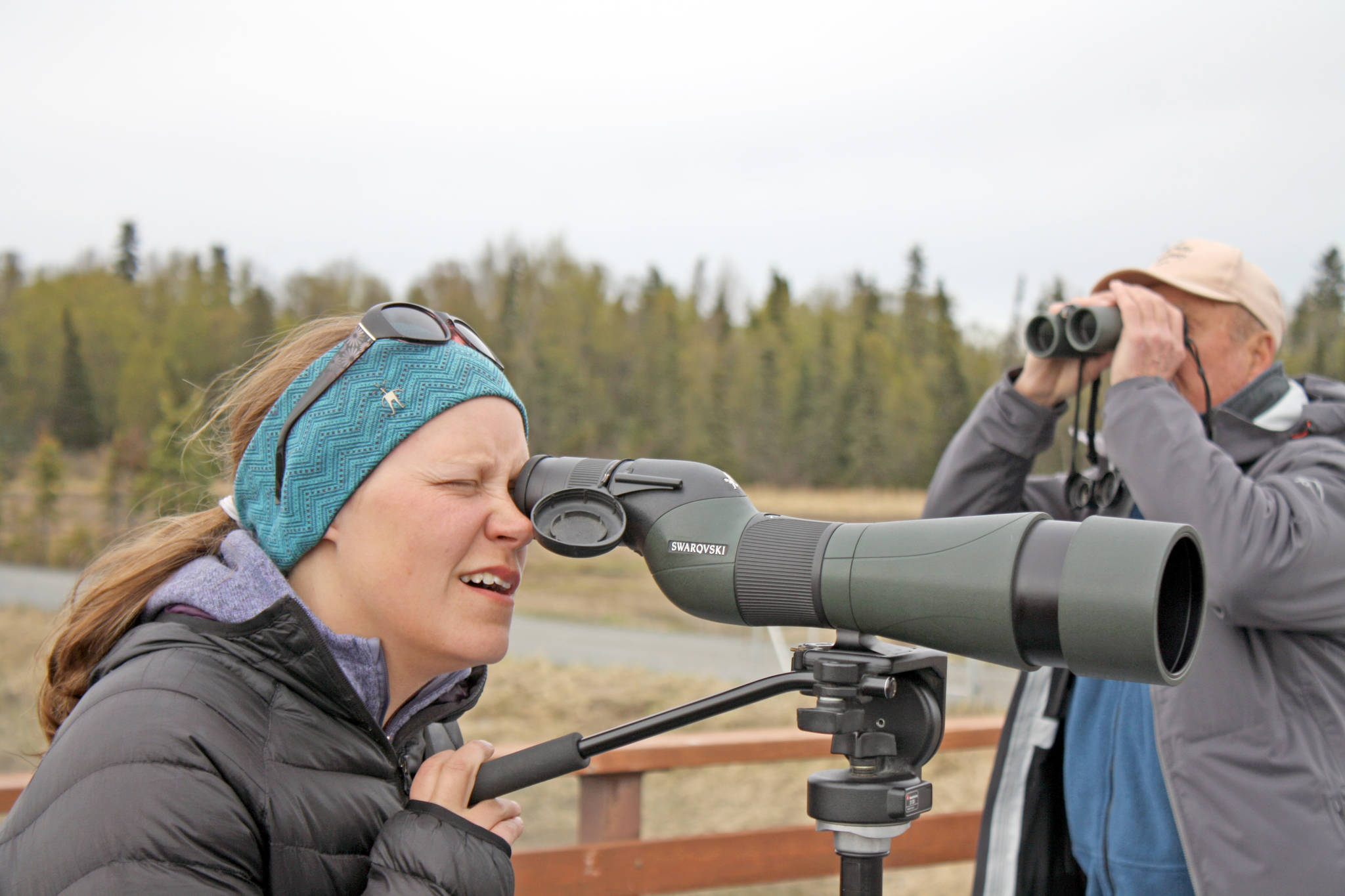 University of Alaska Anchorage student Julie Polasik peers over the Kenai flats through a birding scope during the 24-Hour Midnight Sun Big Sit on Saturday, May 19. Dozens of volunteer bird watchers turned out to the Kenai Wildlife Viewing Platform for the sit, which aimed to tally the dozens of species of birds coming and going from the estuary. Data gathered by bird watchers will be posted to the Cornell Lab of Ornithology eBird website, which collects data on bird species around the world. Organized by the Keen Eye Bird Club, the event was part of the Kenai Birding Festival, which took place over the weekend and offered guided hikes, float trips, trail walks, workshops and educational talks. (Photo by Erin Thompson/Peninsula Clarion)