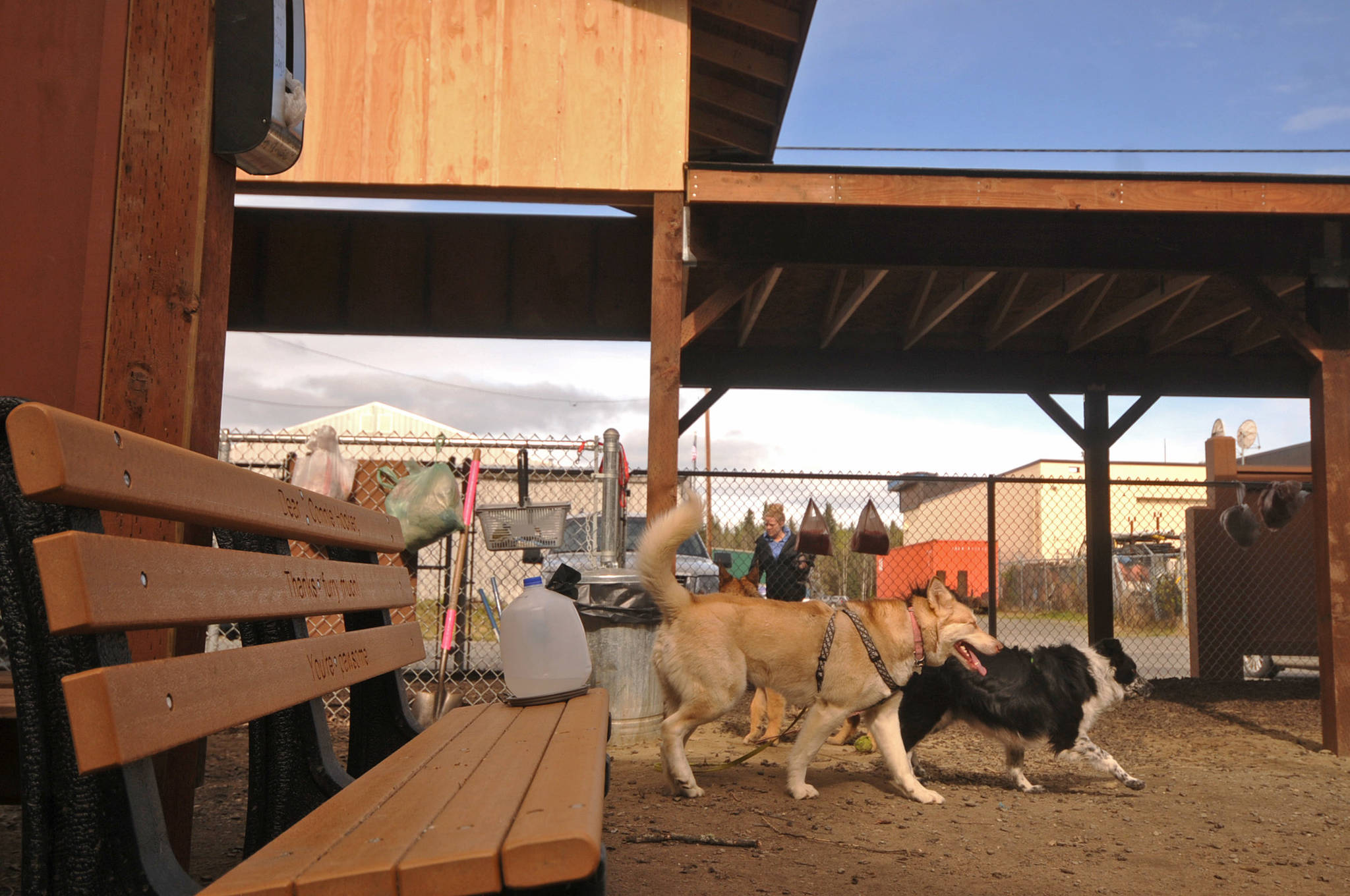 Dogs trot around the 3 Friends Dog Park on Monday, May 21, 2018 in Soldotna, Alaska. (Photo by Elizabeth Earl/Peninsula Clarion)