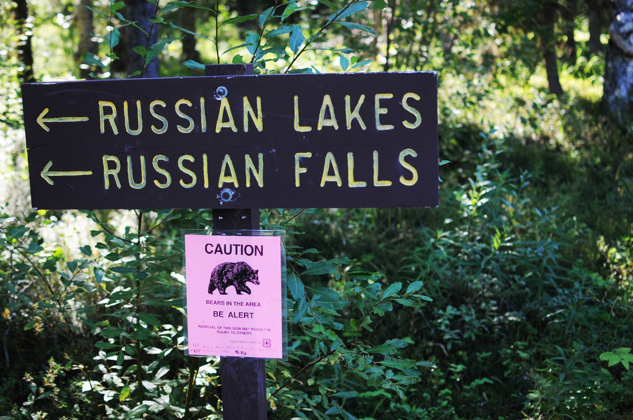 A sign warns visitors about a recent bear sighting near the Russian River on Sunday, Aug. 6, 2017 near Cooper Landing, Alaska. Bears frequent the area, a highly productive sockeye salmon fishery and one of the most popular sportfisheries in the state. (Photo by Elizabeth Earl/Peninsula Clarion)