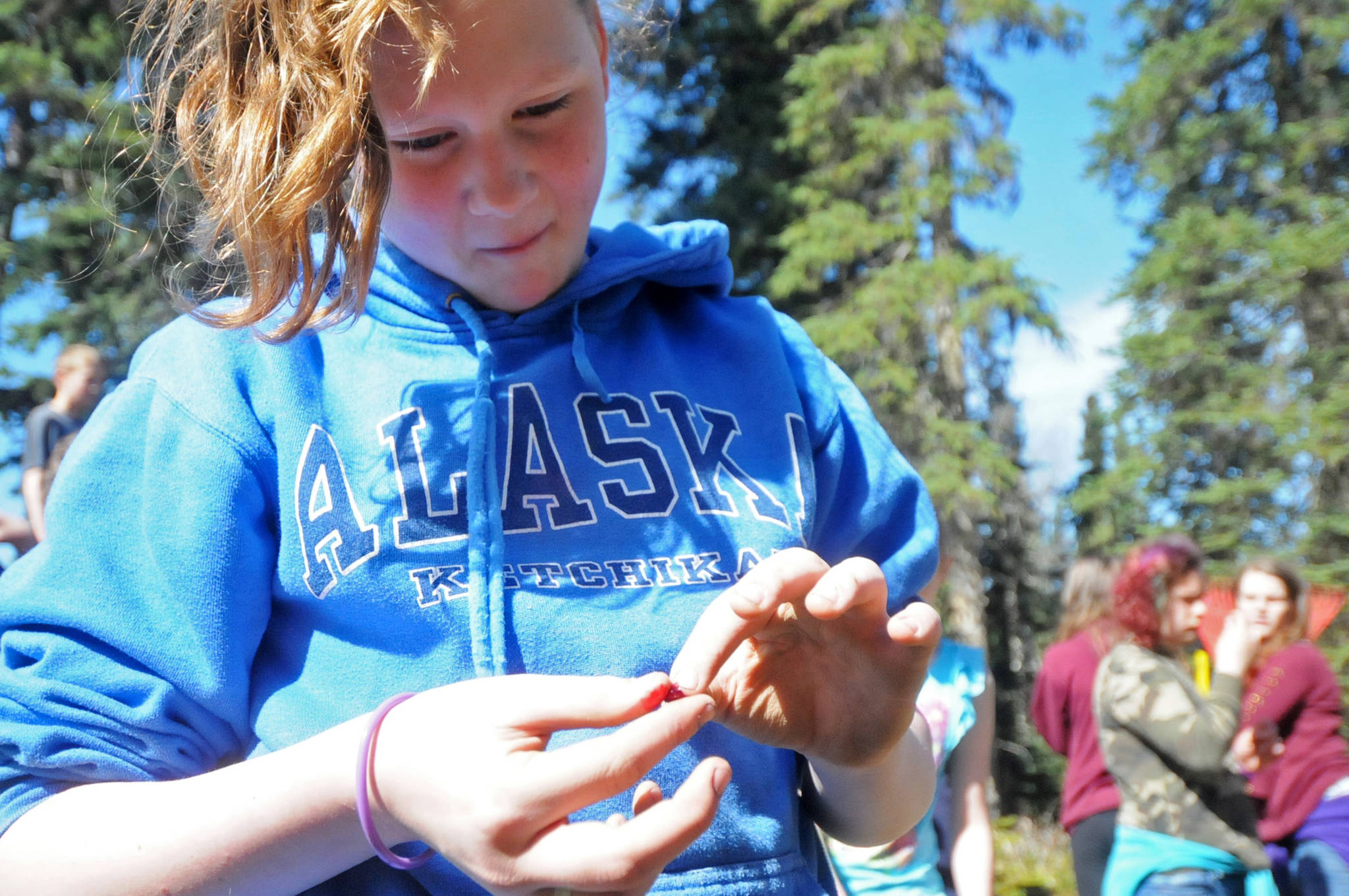 Heaven Engle, a 6th grade student at Tustumena Elementary School, inspects a lowbush cranberry on a trail near the school on Tuesday, May 22, 2018 in Kasilof, Alaska. (Photo by Elizabeth Earl/Peninsula Clarion)