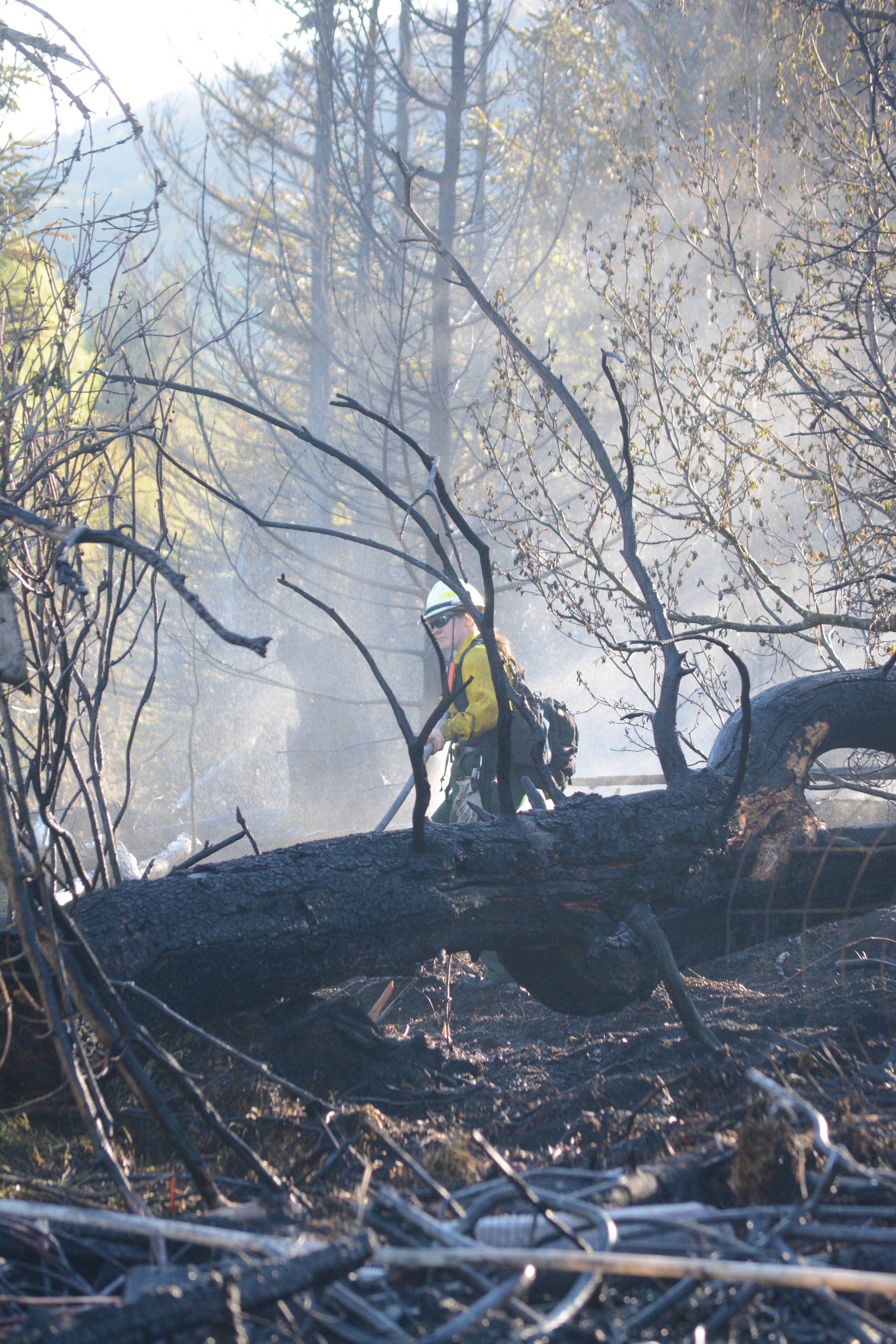 Firefighters save East End Road homes from wildfire