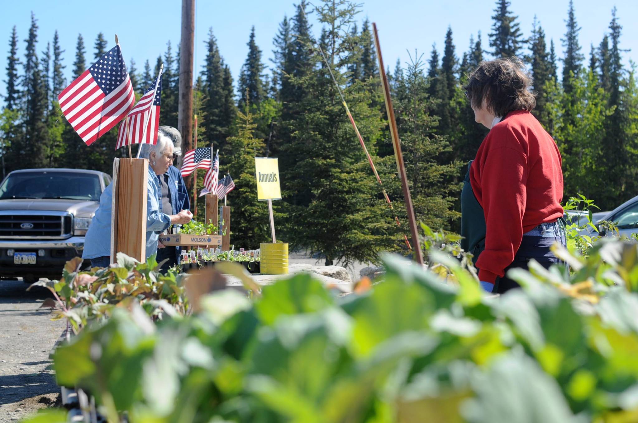 Customers pick out plants during the Central Peninsula Garden Club’s annual plant sale at Peninsula Grace Brethren Church on Kalifornsky Beach Road on Saturday, June 9, 2018 in Soldotna, Alaska. The annual plant sale is always popular — this year, volunteers said that there was a massive crowd gathered even before the sale opened at 10 a.m., nearly clearing out the tables in less than two hours. (Photo by Elizabeth Earl/Peninsula Clarion)