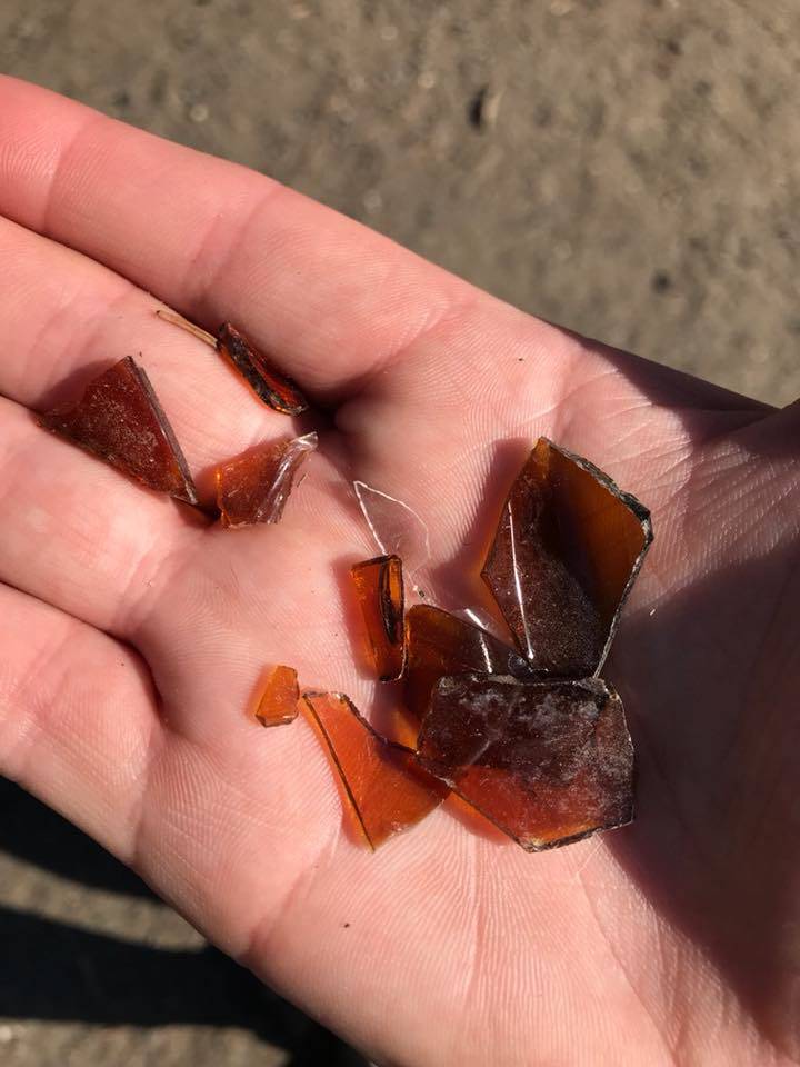 A volunteer displays a handful of broken glass reportedly found in 3 Friends Dog Park Wednesday morning. The glass was spread over about 1/4-acre of the 2-acre park, which provides a fenced area for dogs to run off their leashes. (Photo courtesy of Connie Hocker)