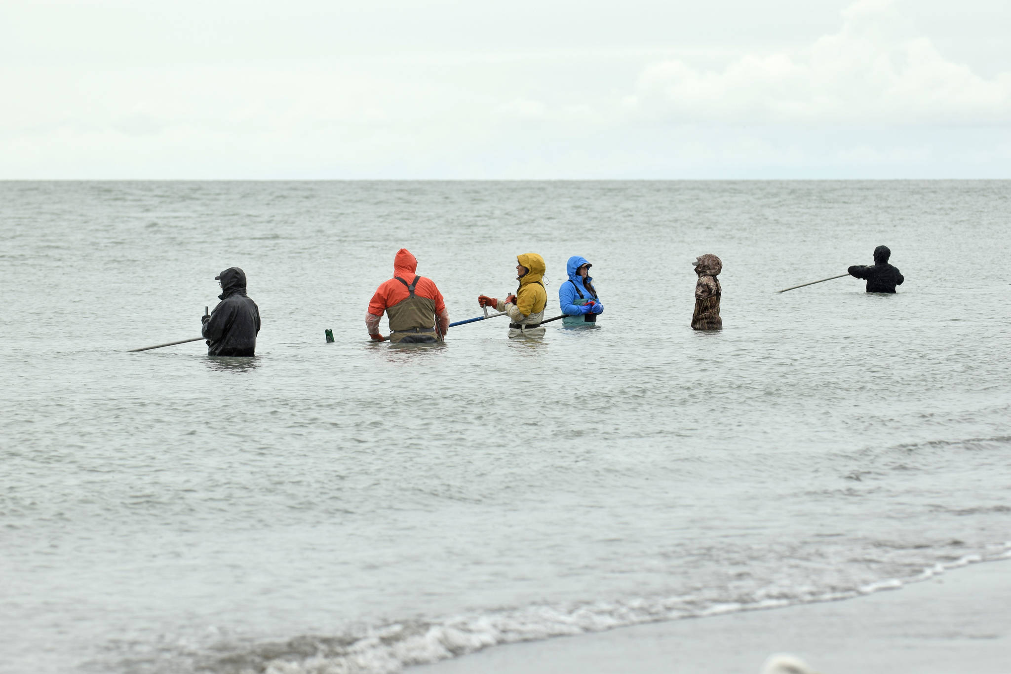 Dipnetters wade into the Cook Inlet in hopes of catching salmon on the first day of dipnetting season on Tuesday, July 10, 2018, in Kenai, Alaska. (Photo by Erin Thompson/Peninsula Clarion)