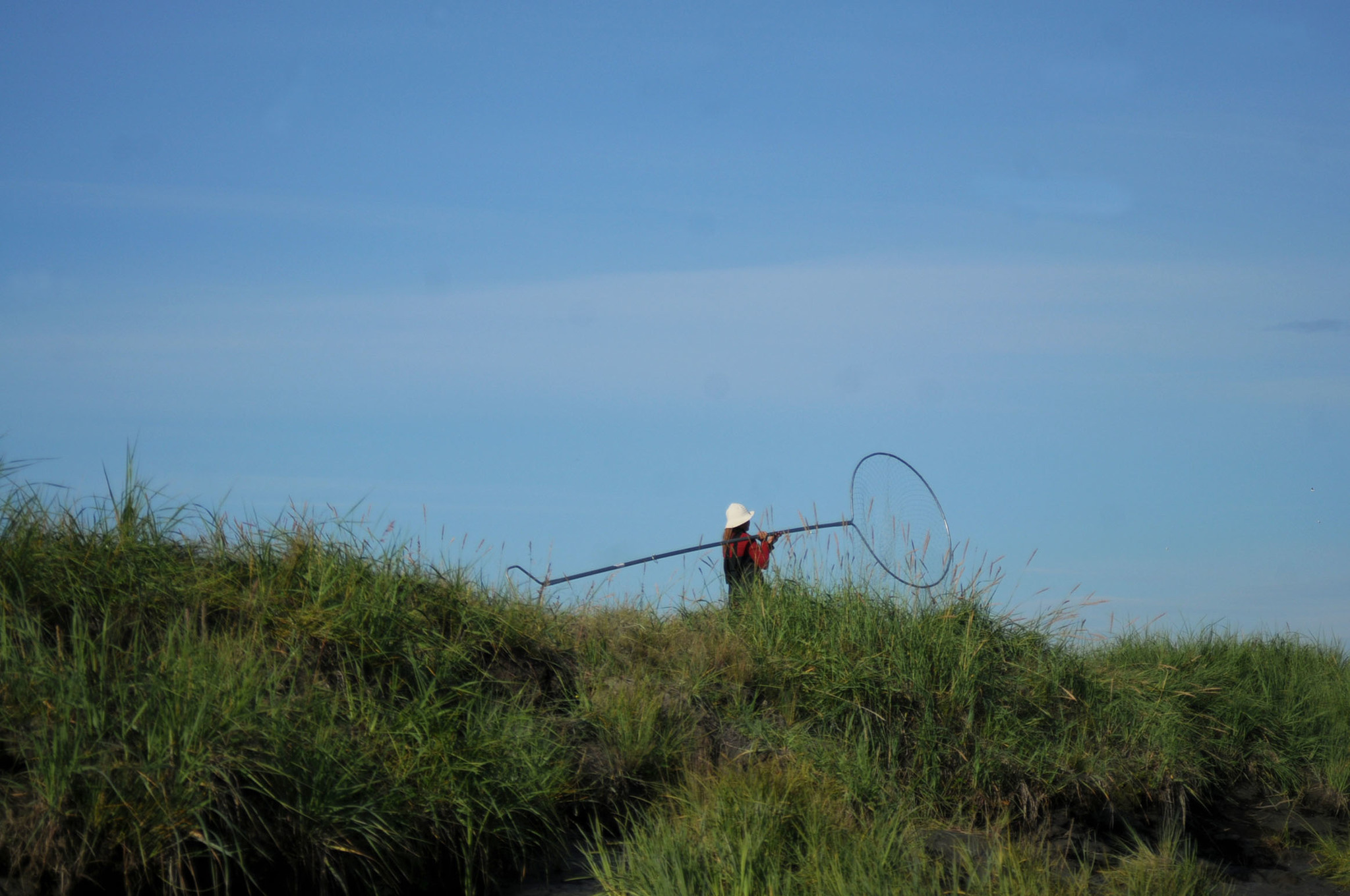 In this July 20, 2016 photo, a dipnetter walks along the banks of the lower Kenai River downstream of the Warren Ames Bridge in Kenai, Alaska. (Elizabeth Earl/Peninsula Clarion)