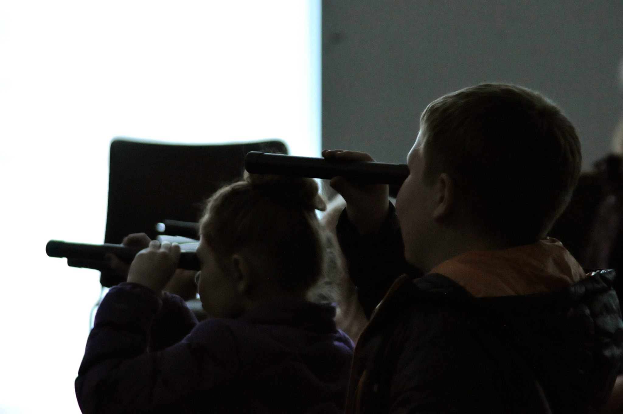 Kids learned the basics of visible and invisible light during a presentation from the Challenger Learning Center of Alaska on Monday, Jan. 16, 2017 at the Soldotna Public Library in Soldotna, Alaska. There wasn’t much sunlight, but the kids attending the event heard about the electromagnetic spectrum and learned how to use a spectrometer to see the types of light in the world around them. Summer Lazenby, the director of educational operations at the Challenger Learning Center, brought filters and spectrometers for the kids to see firsthand how light moves and is split into its different components of color.