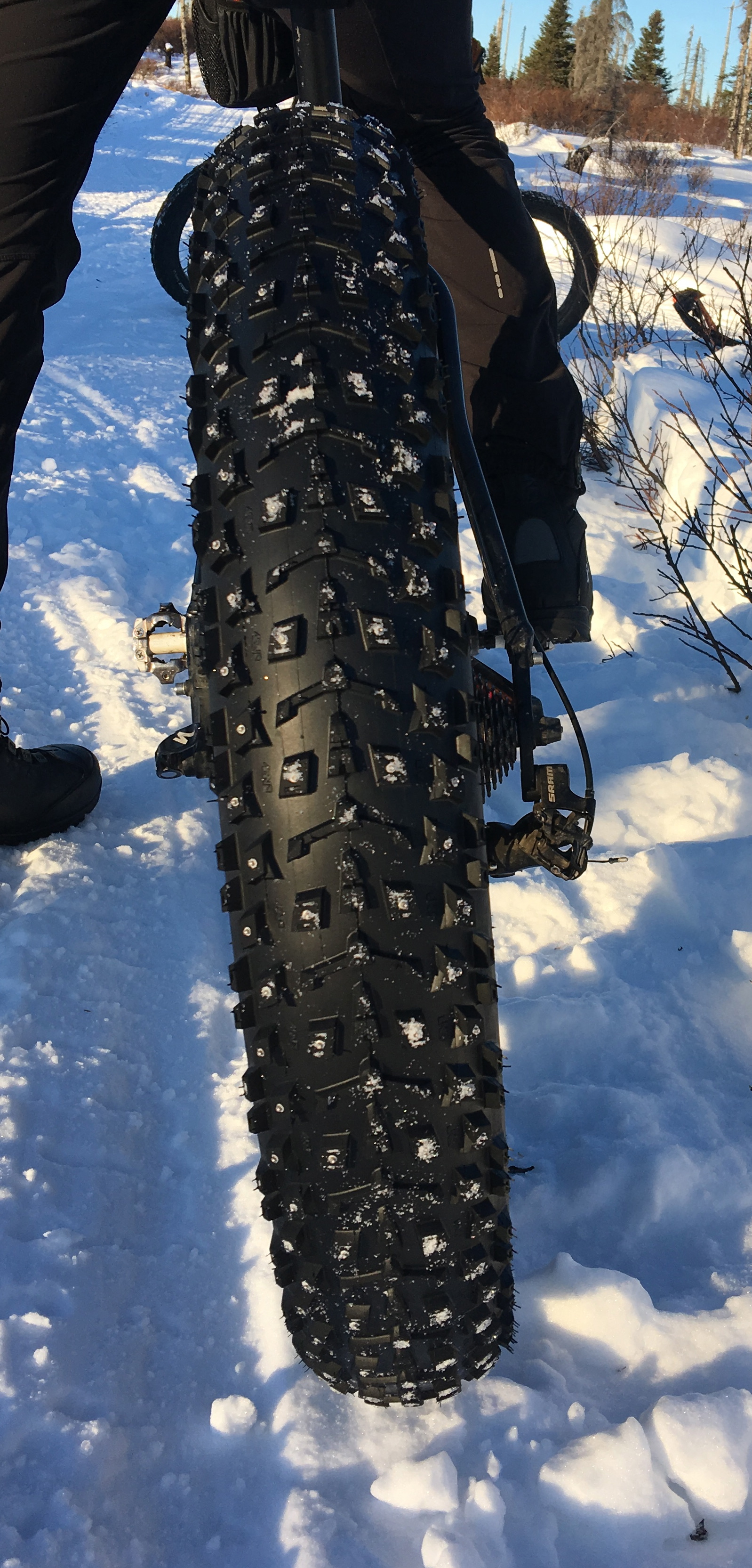 The oversized tires on fat-tire bikes provide traction in soft conditions. Some, like the tire pictured here, include studs for icy trails. (Photo by Will Morrow/Peninsula Clarion)