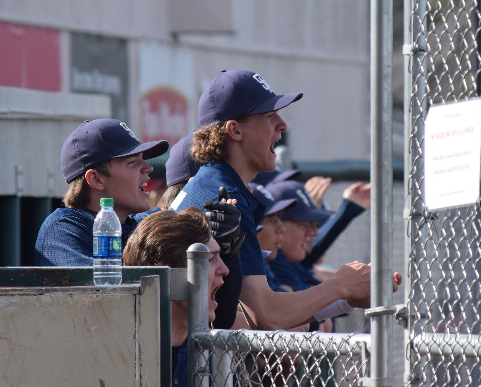 Soldotna baseball team members cheer on their teammates Thursday against Sitka in a state tournament quarterfinal at Mulcahy Field in Anchorage.
