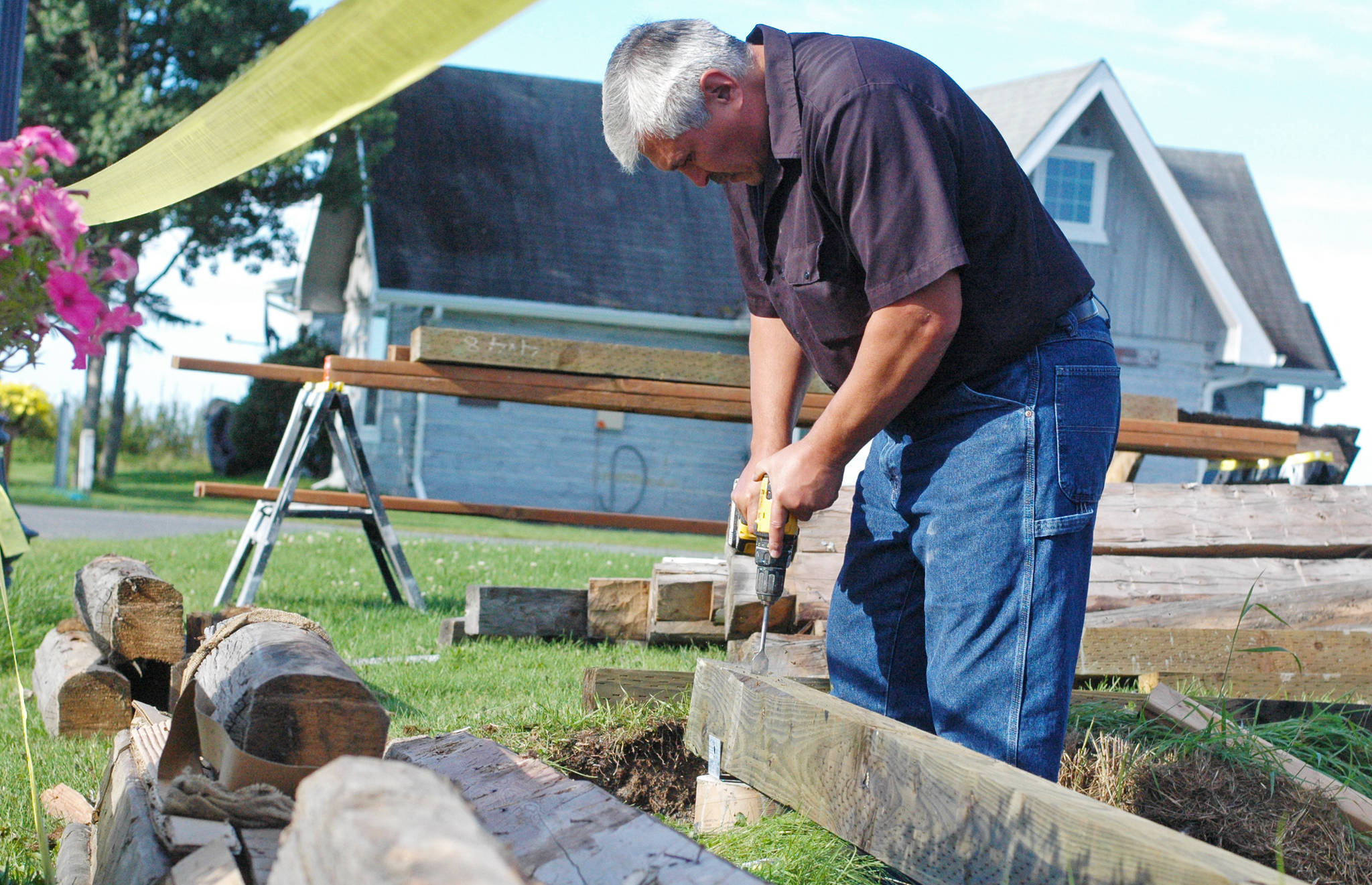 Roy Beaver drills a hole through a log as part of a reconstruction of a historic cabin near the bluff in Old Town Kenai on Wednesday, Aug. 29, 2018 in Kenai, Alaska. The cabin, owned by Tim Wisnewski, is one of the original buildings in the Old Town Kenai area and had long since fallen into disrepair before Wisnewski decided to restore it. (Photo by Elizabeth Earl/Peninsula Clarion)