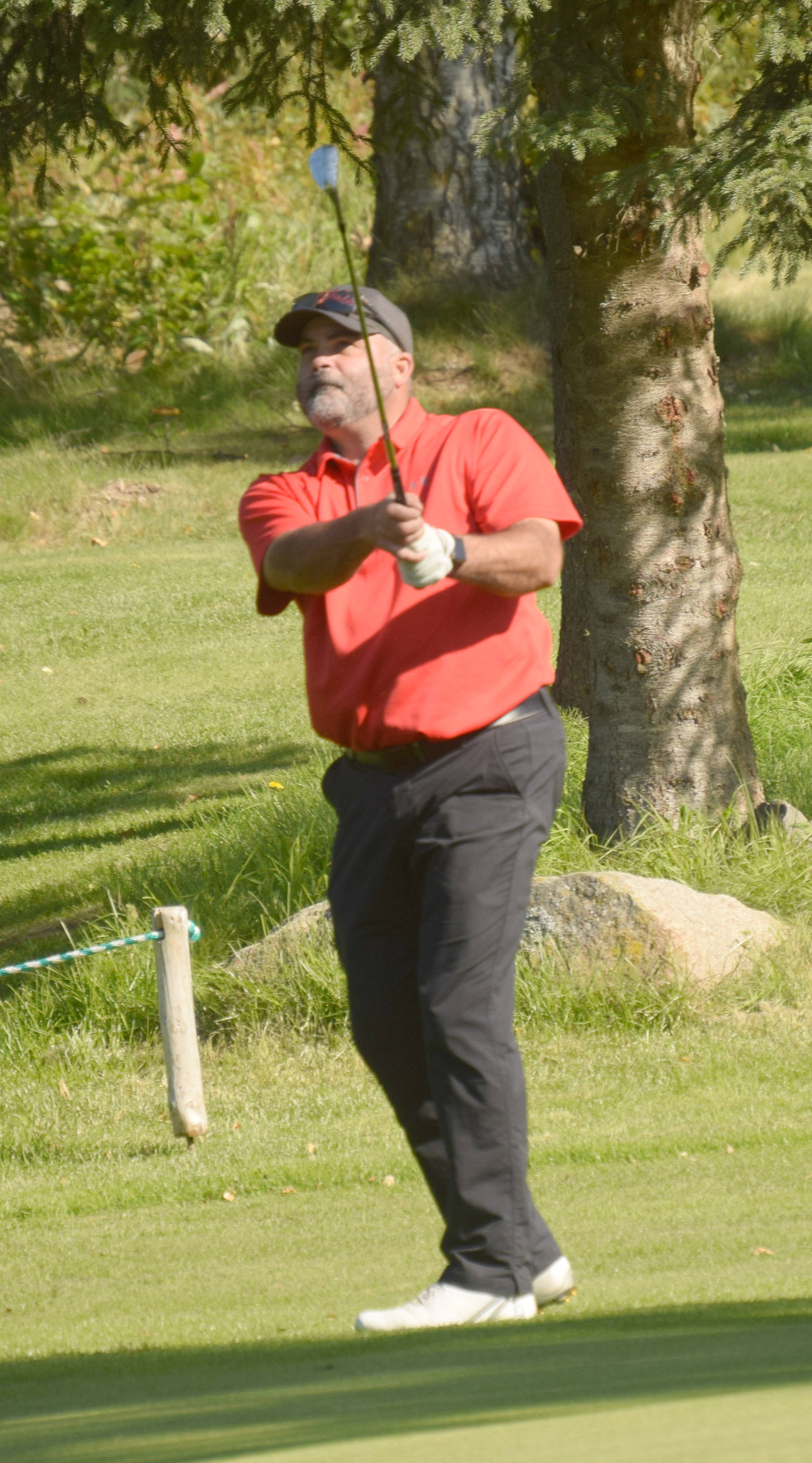 Palmer Golf Course pro Rob Nelson chips to the ninth green Sunday, Sept. 2, 2018, at the Kenai Peninsula Open at Birch Ridge Golf Course. (Photo by Jeff Helminiak/Peninsula Clarion)