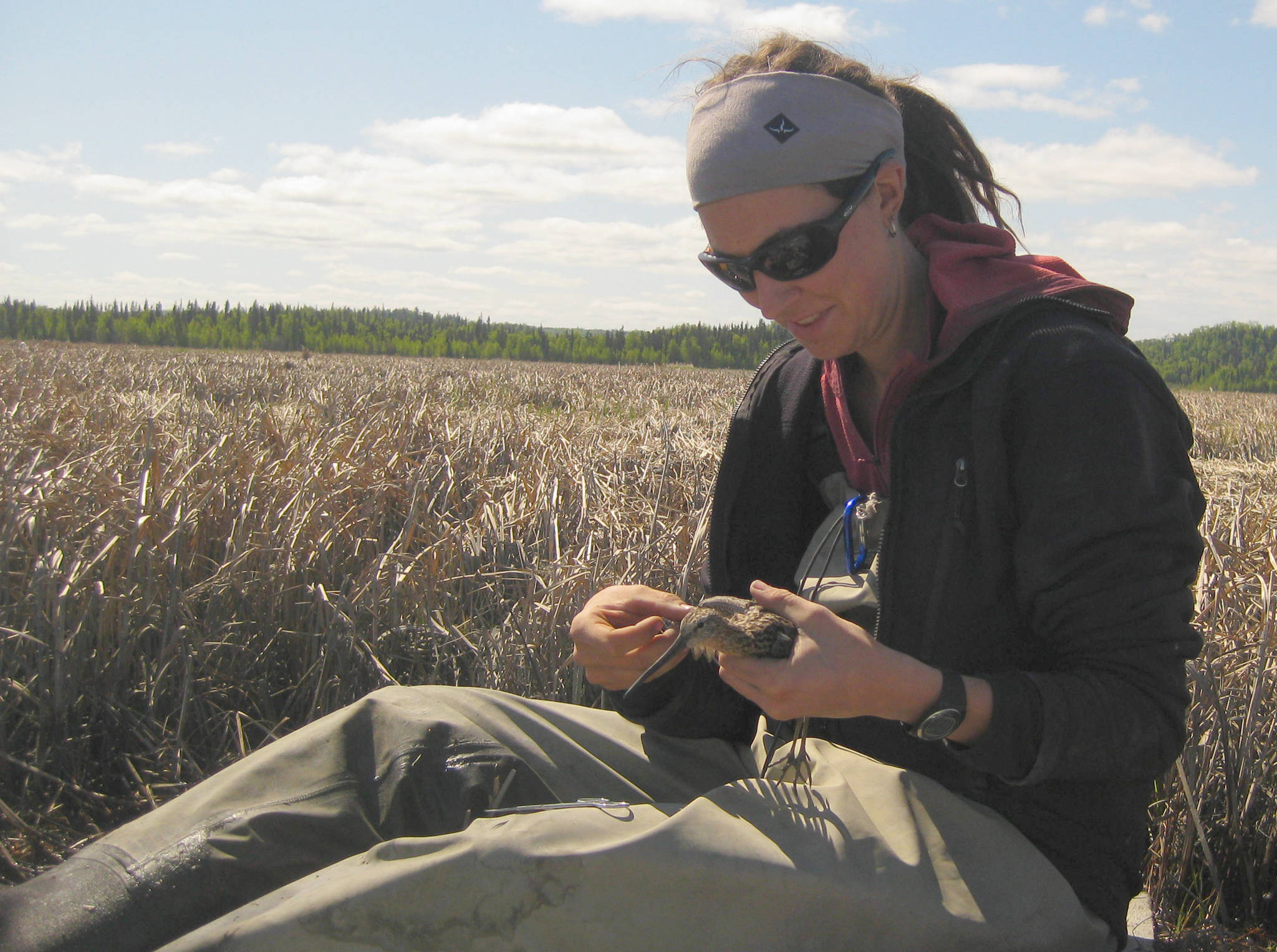 Sadie Ulman studied how shorebirds used Chickaloon Flats in 2009-10 as a graduate student at the University of Delaware. She now works for the Alaska SeaLife Center in Seward. (Photo courtesy of Sean Ulman)