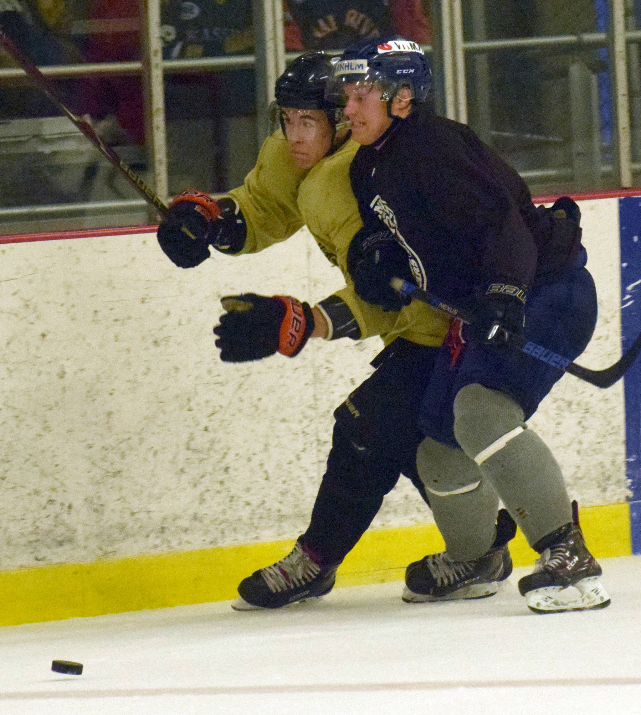 Justin Daly of the Gold and Filip Karlsson of the Brown compete for the puck Friday, Sept. 7, 2018, during the Brown-Gold Game at the Kenai Multi-Purpose Facility. (Photo by Jeff Helminiak/Peninsula Clarion)