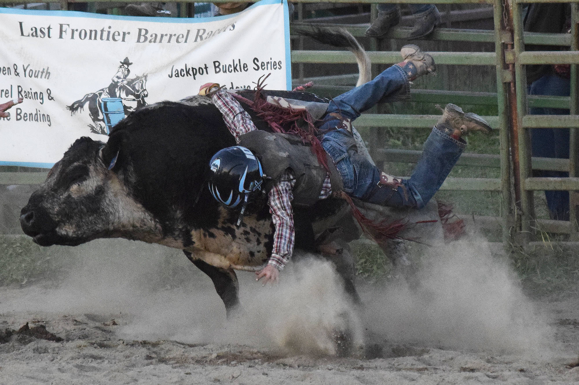 Youth rider Laramie Gibson gets off a bull at the Saturday, Sept. 8 9/11 Tribute Rodeo in Soldotna, Alaska. Gibson scored 73 points on the ride and won first in junior bull riding, first in the 0-10 age group for barrels and placed in poles and key hole at the rodeo. Gibson won all-around cowboy for 0-10 age group. (Photo by Joey Klecka/Peninsula Clarion)