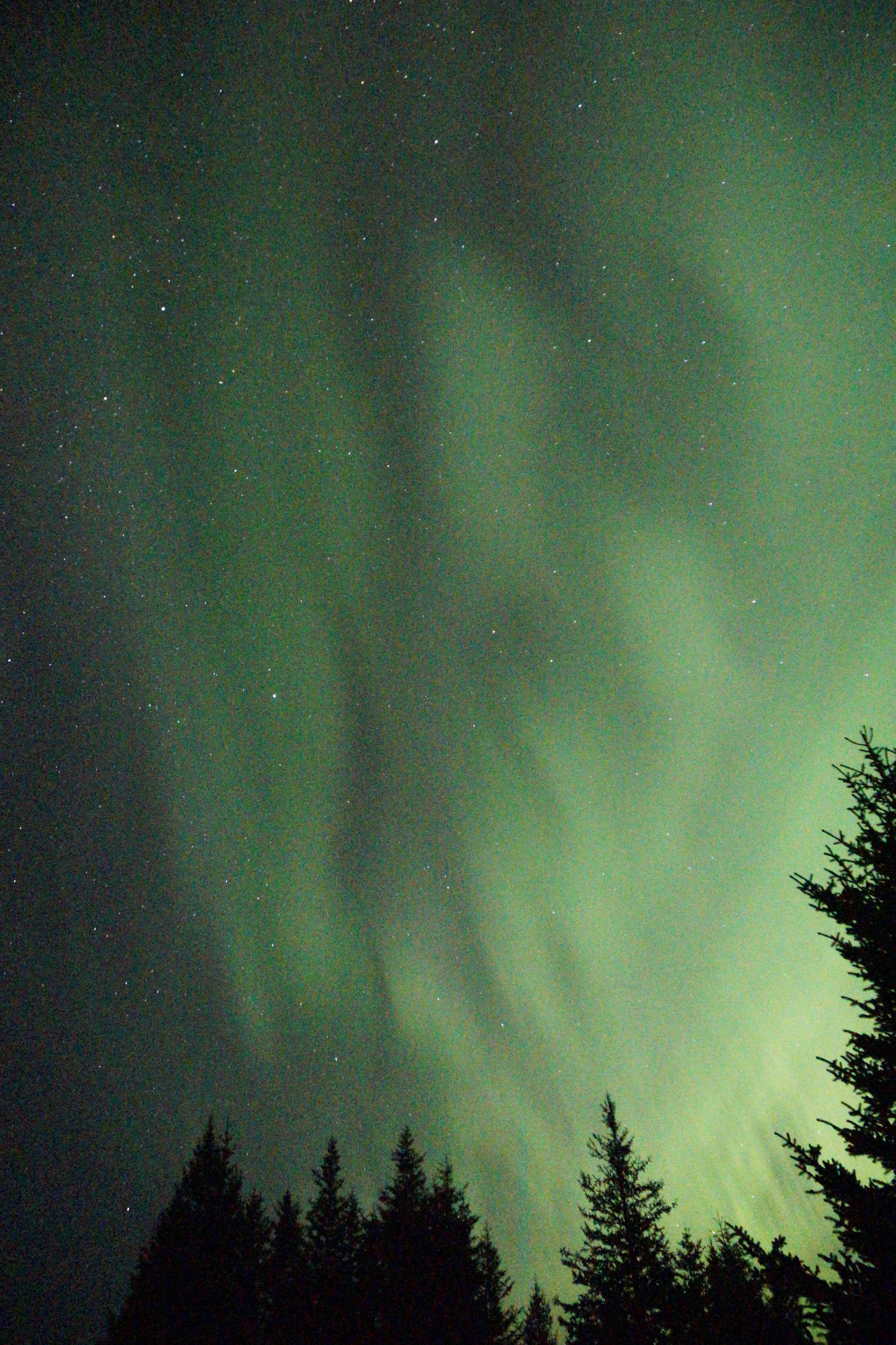 Northern lights glow about 2:30 a.m. Tuesday, Sept. 11, 2018, over Diamond Ridge near Homer, Alaska. At times the aurora spread in a long arc from east to west. (Photo by Michael Armstrong/Homer News)