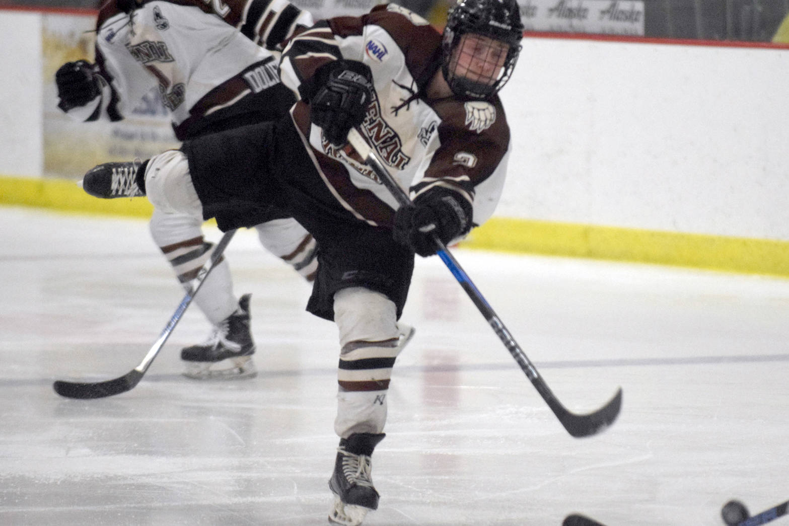 Kenai River Brown Bears defenseman Cam McDonald fires a shot Feb. 16, 2018, at the Soldotna Regional Sports Complex against the Johnstown (Pennsylvania) Tomahawks. (Photo by Jeff Helminiak/Peninsula Clarion)