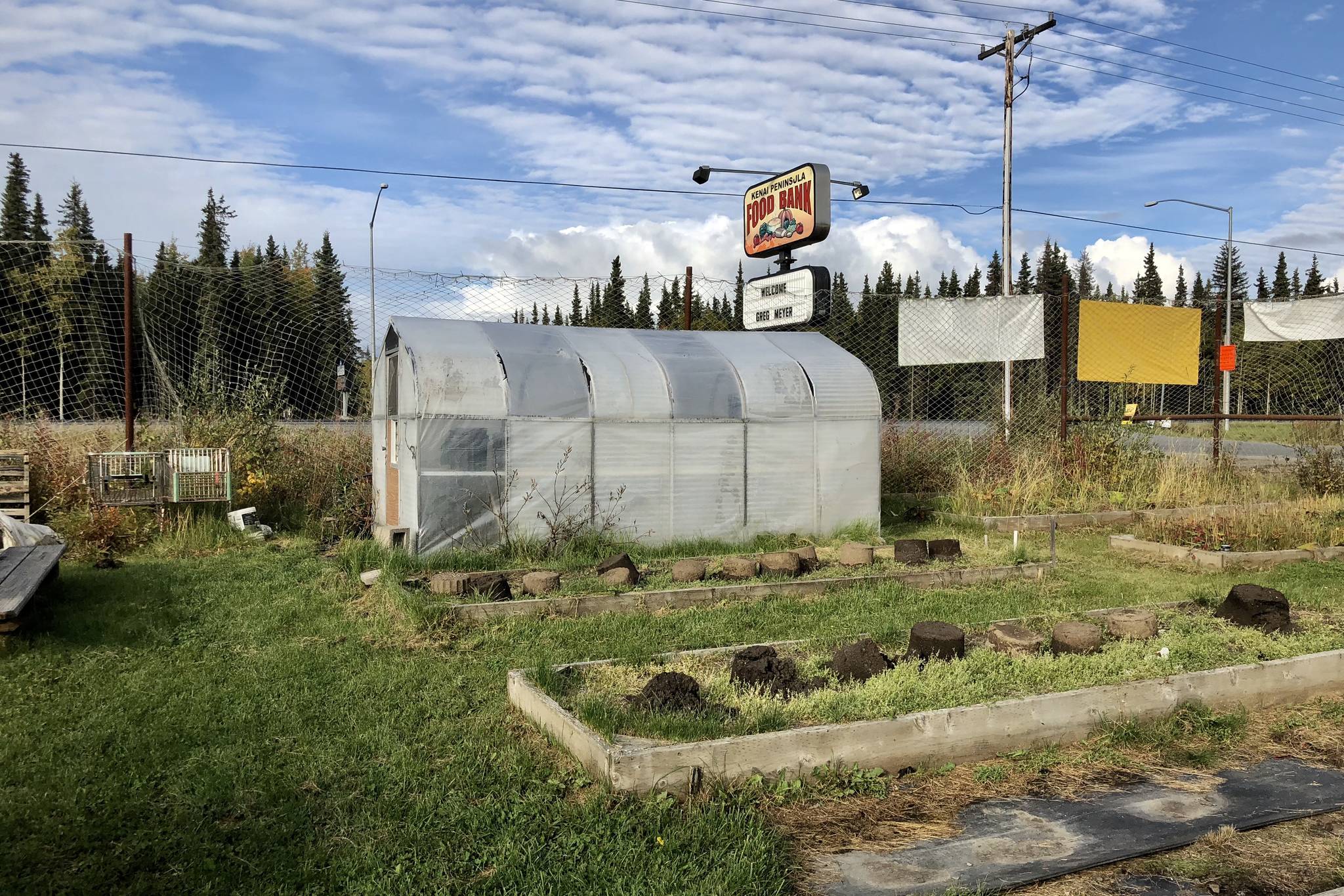 The Kenai Peninsula Food Bank’s greenhouse is photographed on Tuesday near Soldotna. The food bank grows fresh produce and offers it at a weekly farmers market. (Photo by Victoria Petersen/Peninsula Clarion)