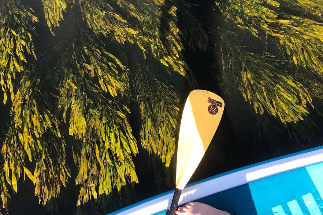 The writer is seen here paddling on Sept. 13, 2018, during a trip throughout the Swan Lake Canoe Route in the Kenai National Wildlife Refuge and out the Moose River. (Photo by Kat Sorensen)