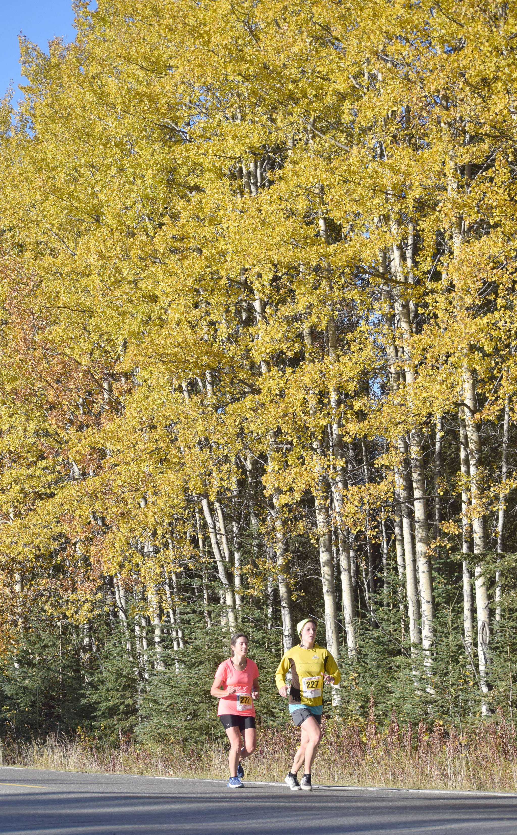 Nikiski’s Frieda Tuttle leads Soldotna’s Maria Dammeyer down Beaver Loop Road during the half marathon of the Kenai River Marathon on Sunday. Tuttle was the 18th woman across the finish line, while Dammeyer was 19th. (Photo by Jeff Helminiak/Peninsula Clarion)