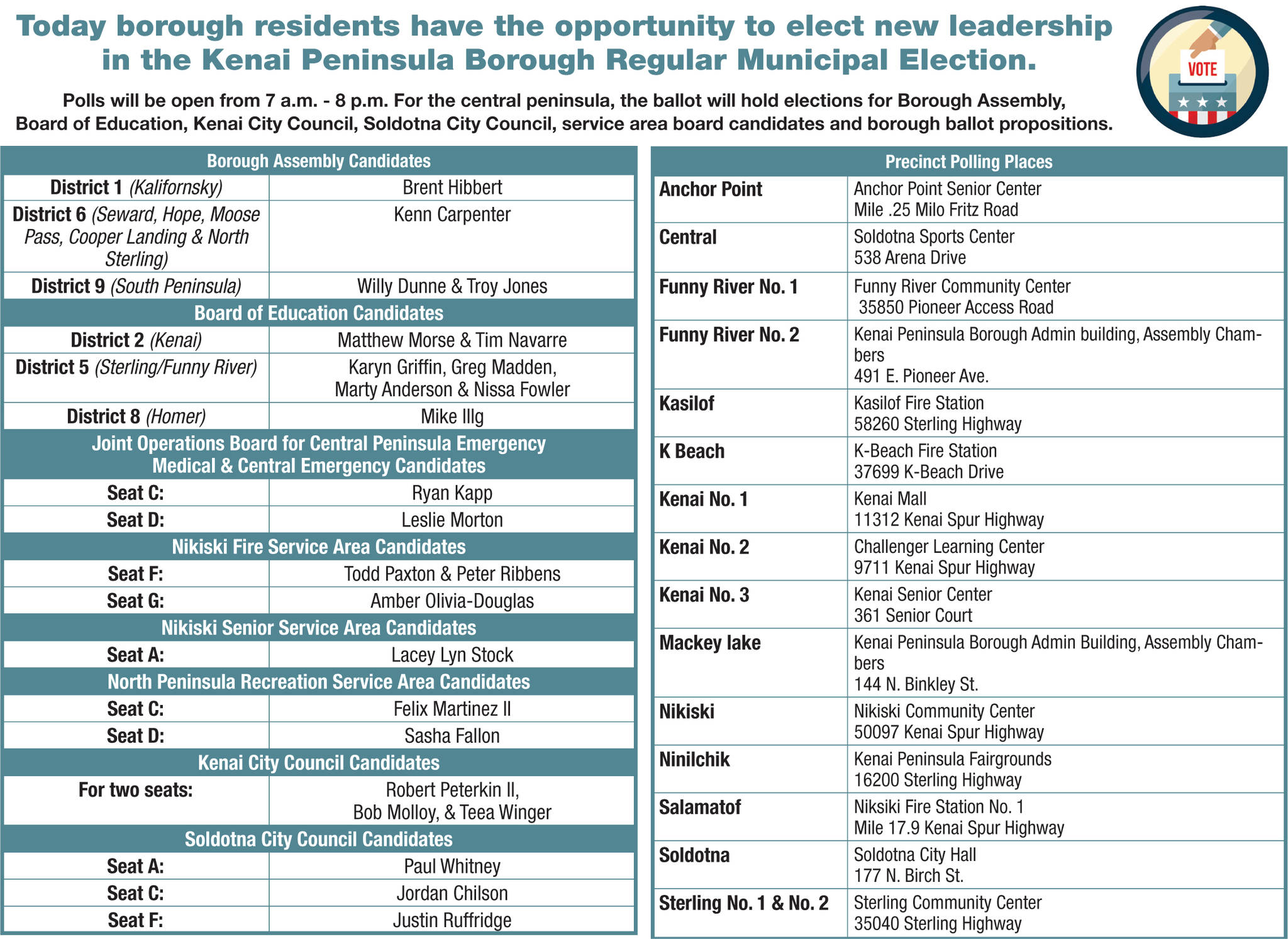 Borough Elections: Know before you go