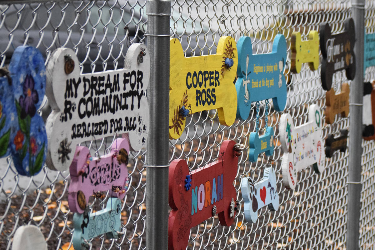 3 Friends Dog Park gets additions as one-year celebration kicks off