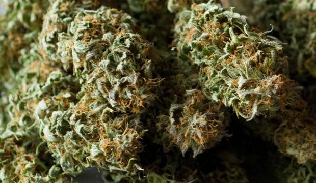 About 2 1/2 oz. of dried marijuana. (Michael Penn | Juneau Empire File)