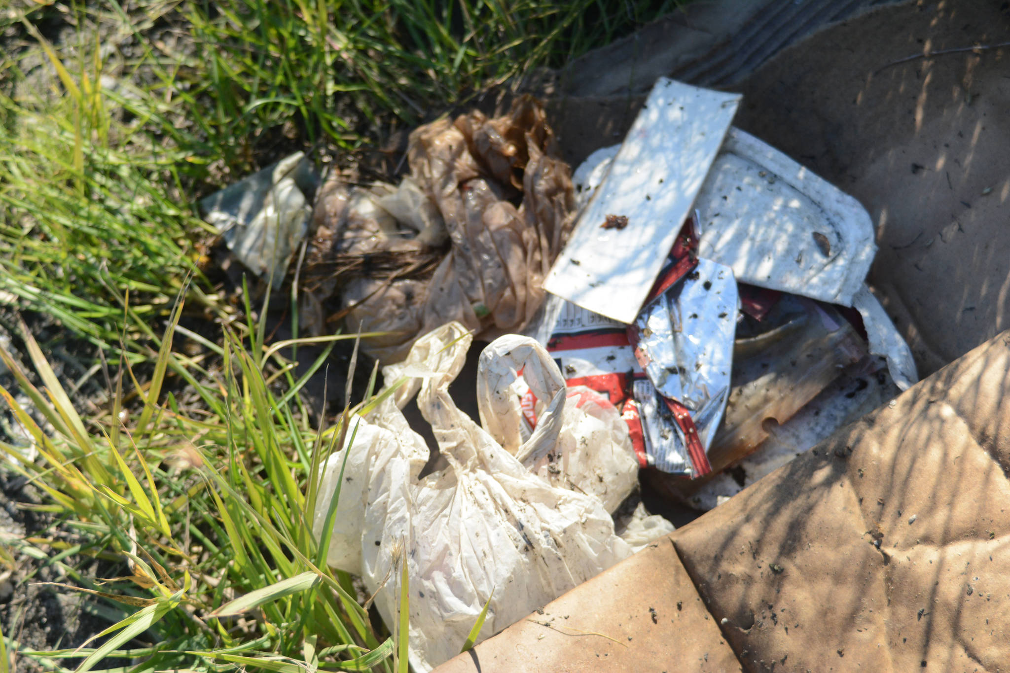 Single-use plastic bags litter the side of Lake Street on Sept. 25, 2018, in Homer, Alaska. (Photo by Michael Armstrong/Homer News)