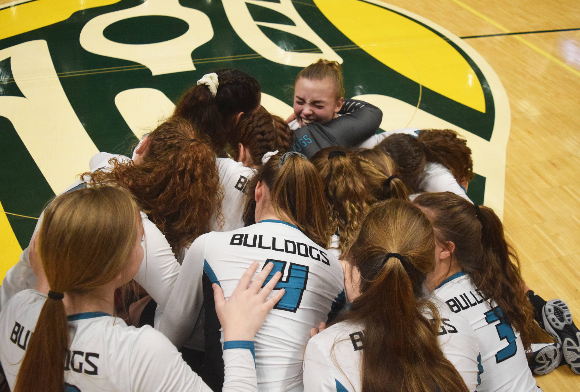 The Nikiski volleyball team celebrates after winning the Class 3A state volleyball championship final Saturday against Valdez at the Alaska Airlines Center. (Photo by Joey Klecka/Peninsula Clarion)
