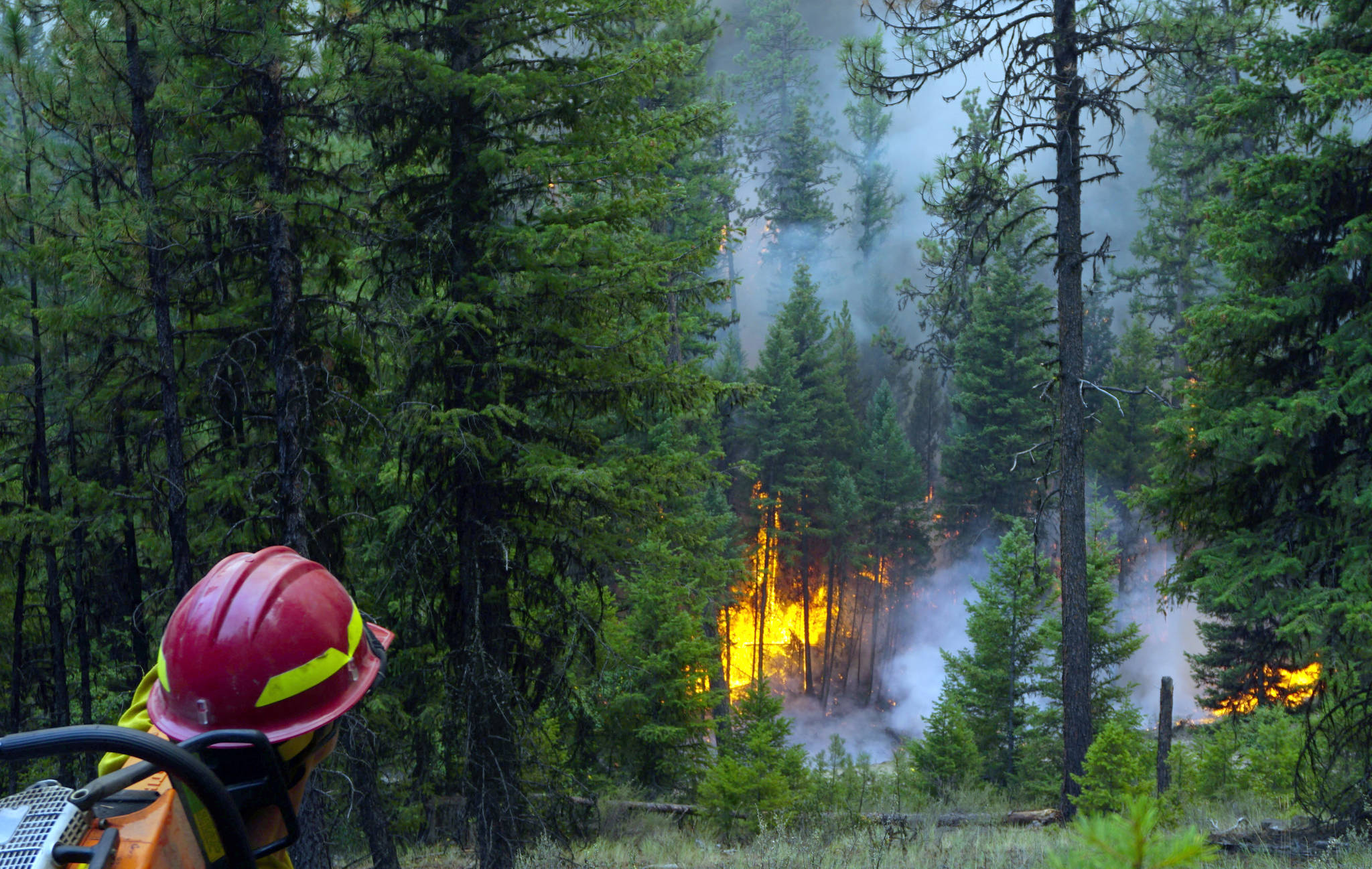 Allie Cunningham above a burnout operation on the Copper King Fire in Montana. (Photo by Parker Anders)