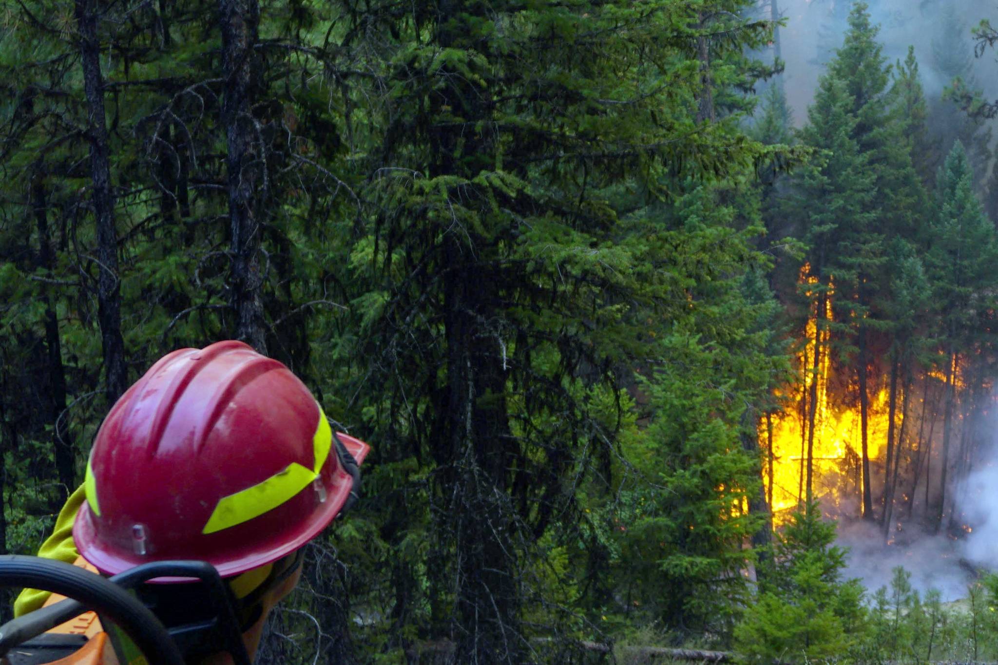 Refuge Notebook: Wildfire apprentice catches the fire bug
