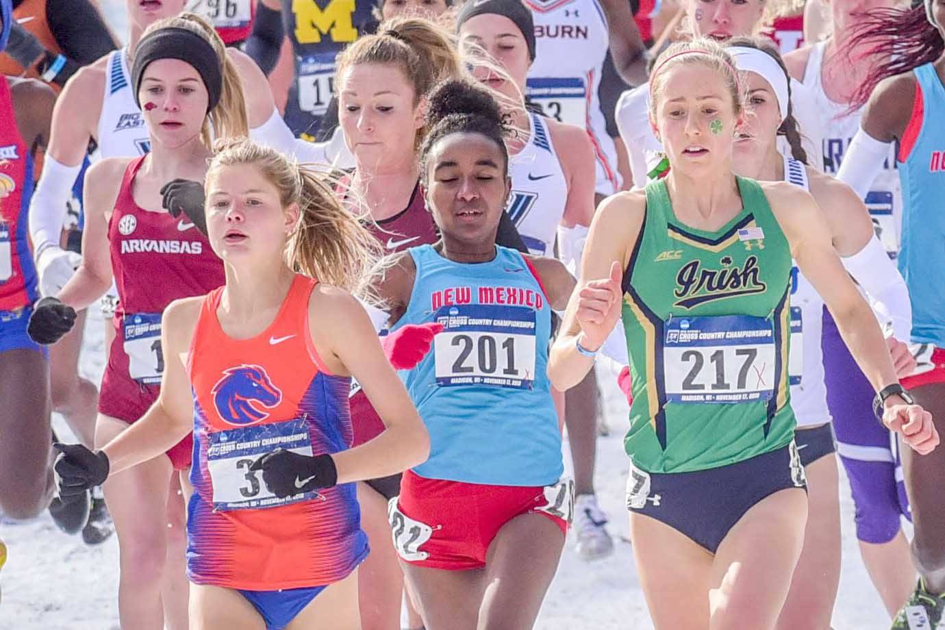 Ostrander nabs 6th at NCAA Division I Cross Country nationals; McCormick, Bergholtz run at regions; Thompson’s season ends in net