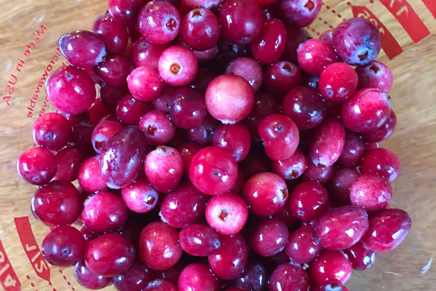 A measuring cup full of bog cranberries (Vaccinium oxycoccos) is seen in the kitchen of Erin Anais Heist on Oct. 14, 2018. (Erin Anais Heist | For the Juneau Empire)