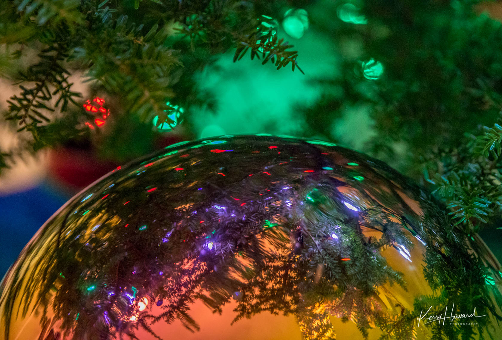 A quiet moment under the Christmas tree. Photo by Kerry Howard.