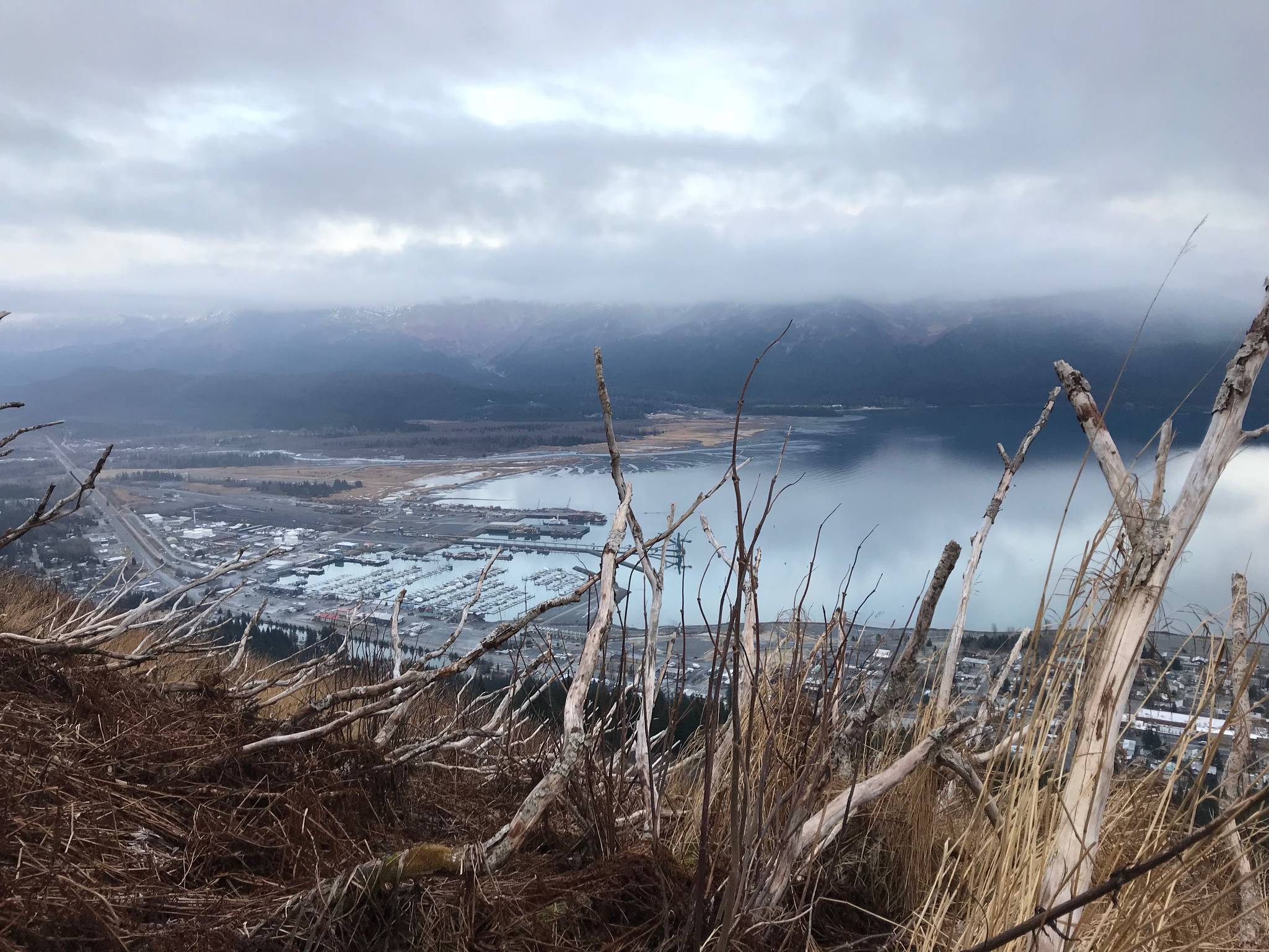 The view from along the Mt. Marathon Race Trail changes from day to day. (Photo by Kat Sorensen/Peninsula Clarion)