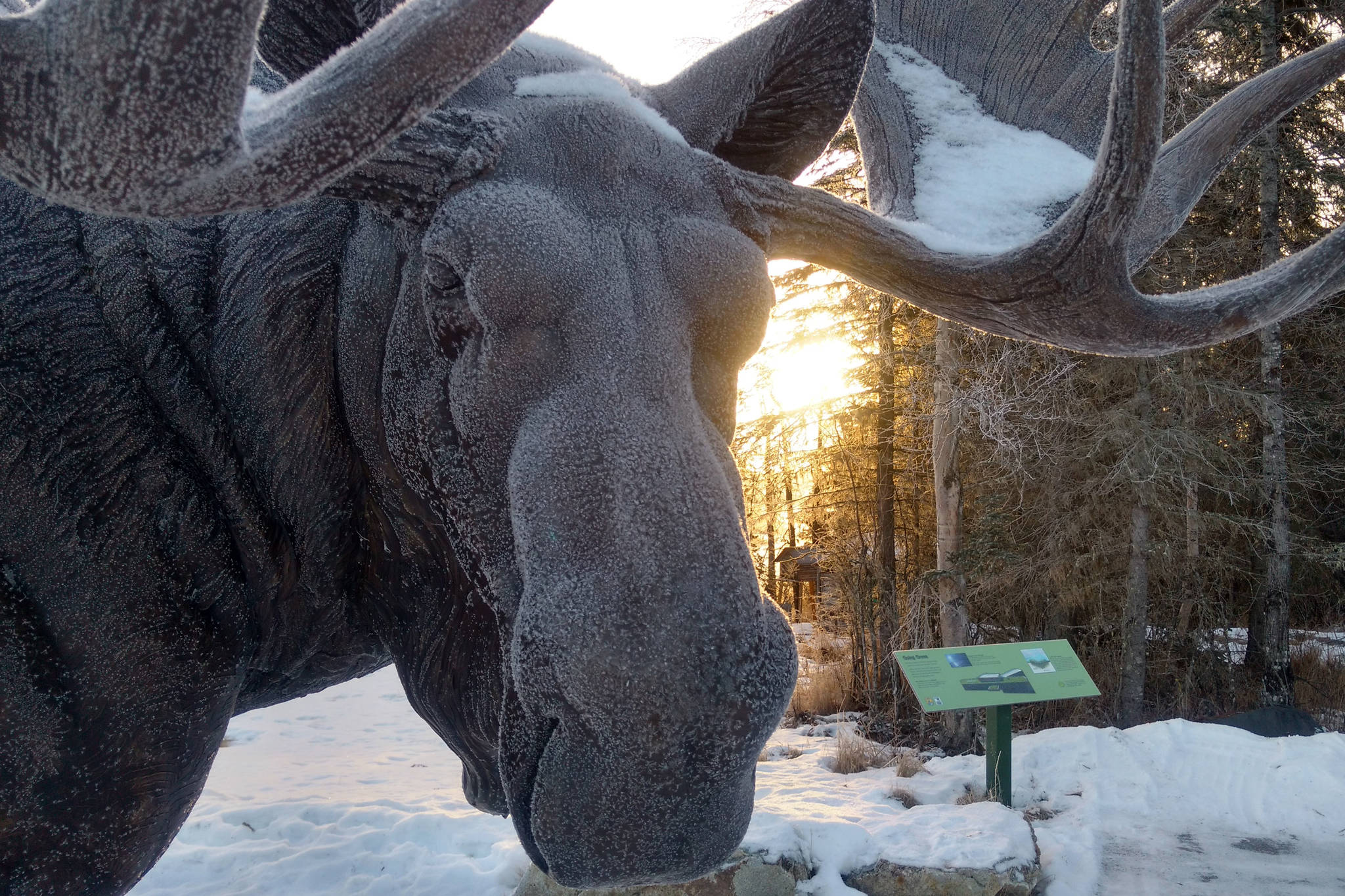 Kenai National Wildlife Visitor Center (Photo by Erin Thompson/Peninsula Clarion)