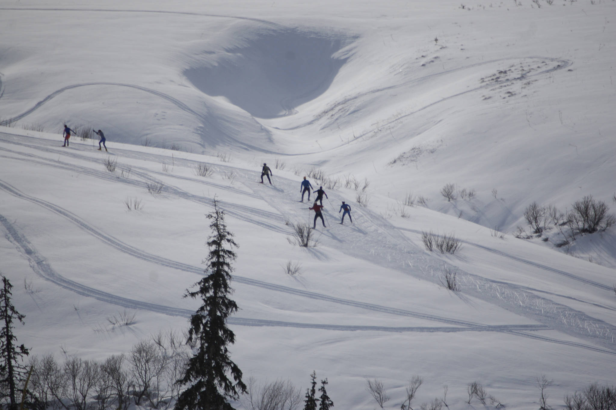 Skiers climb a hill near the start of the Kachemak Bay Marathon Ski Tour in March of 2007 near Homer, Alaska, in winter where Homer actually had snow. (Photo by Michael Armstrong/Homer News)