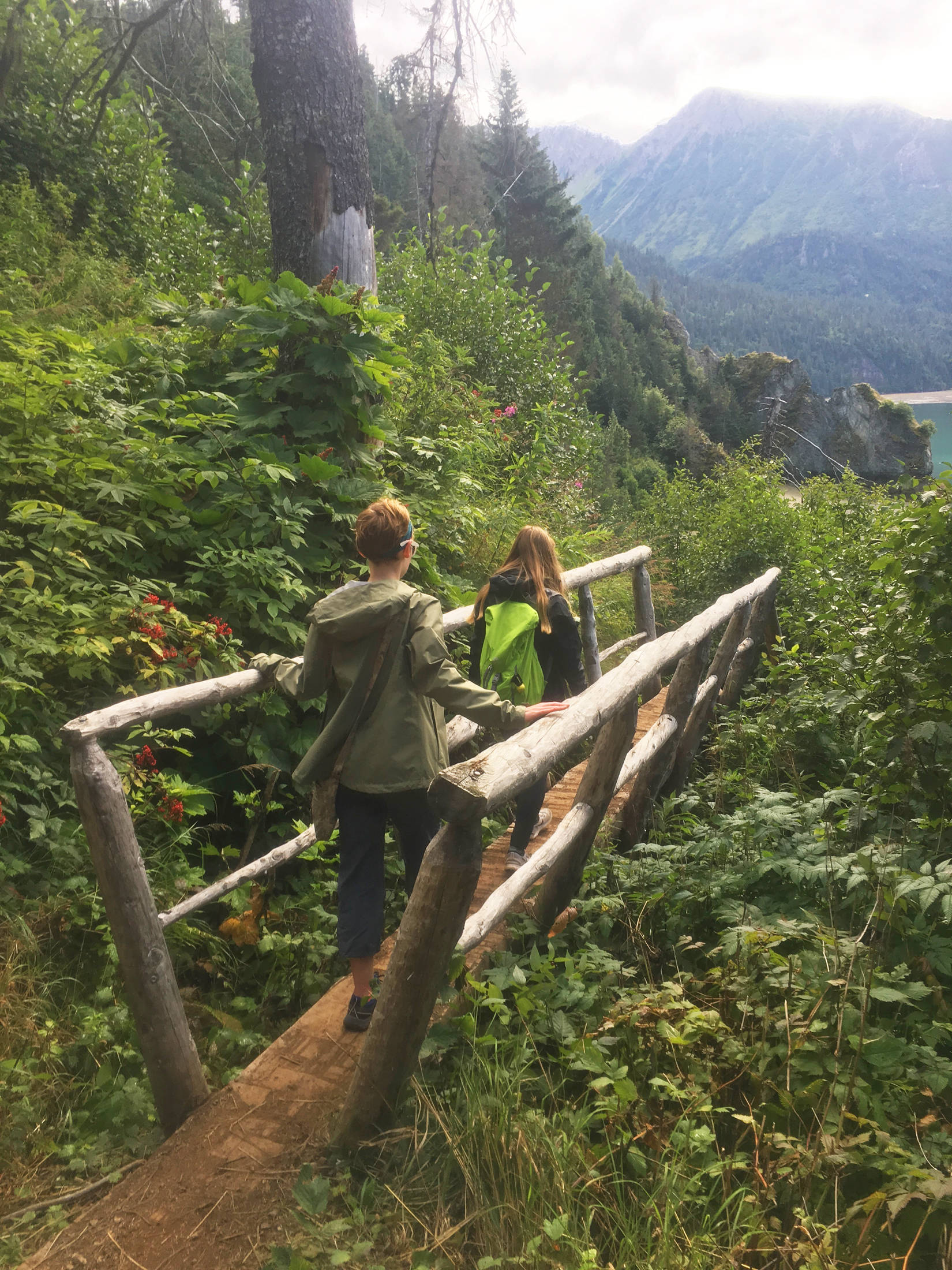 Two hikers cross a wooden bridge while making their way down the Saddle Trail on Friday, Aug, 17, 2018 in Kachemak Bay State Park across Kachemak Bay from Homer, Alaska. While some trails are still impassable, there are many routes — like Glacier Lake to Saddle — with clear, dry trails. (Photo by Megan Pacer/Homer News)