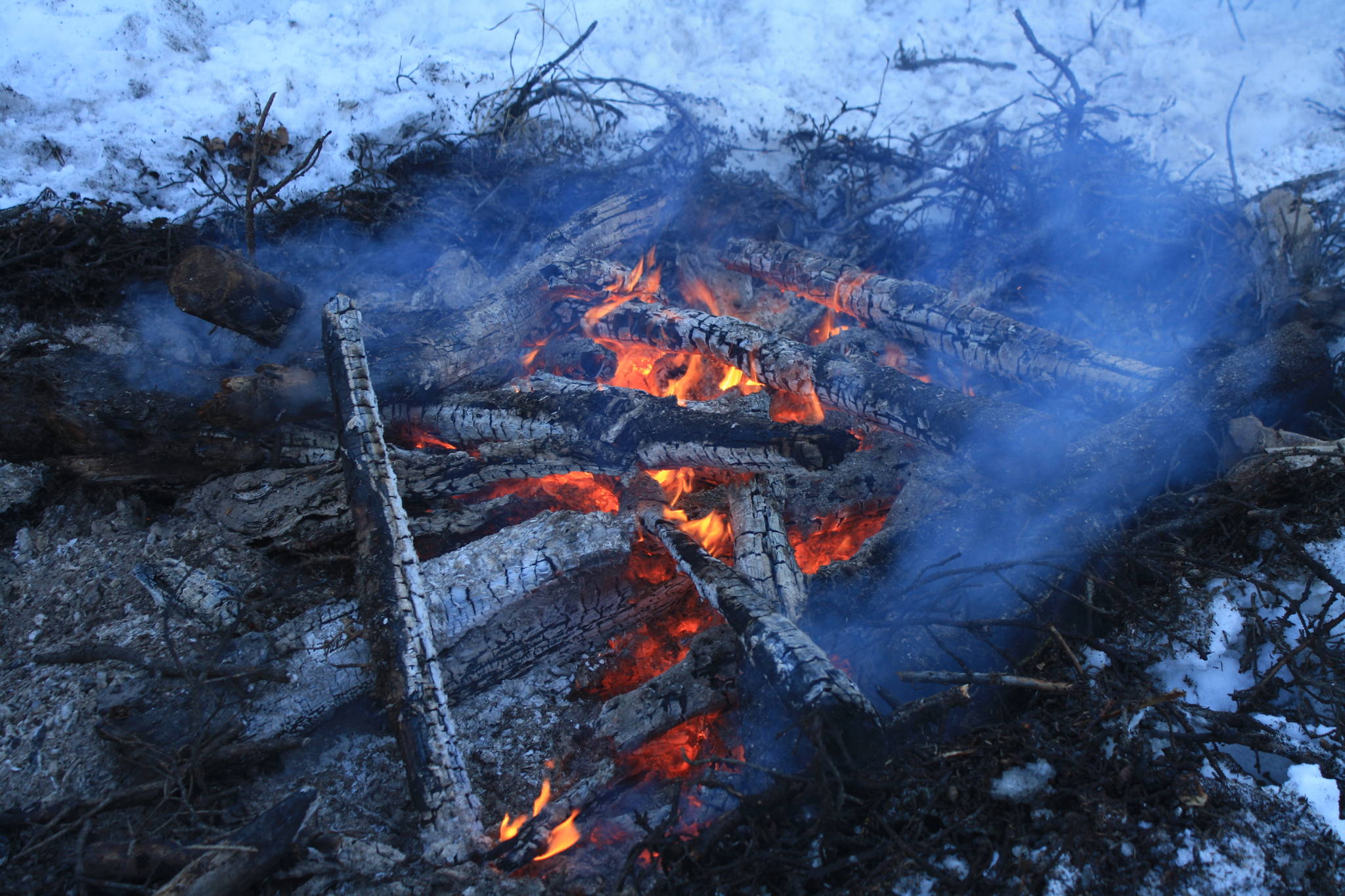Wood burns during a Kenai National Wildlife Refuge prescribed burning in February 2018. (Photo by Erin Thompson/Peninsula Clarion)
